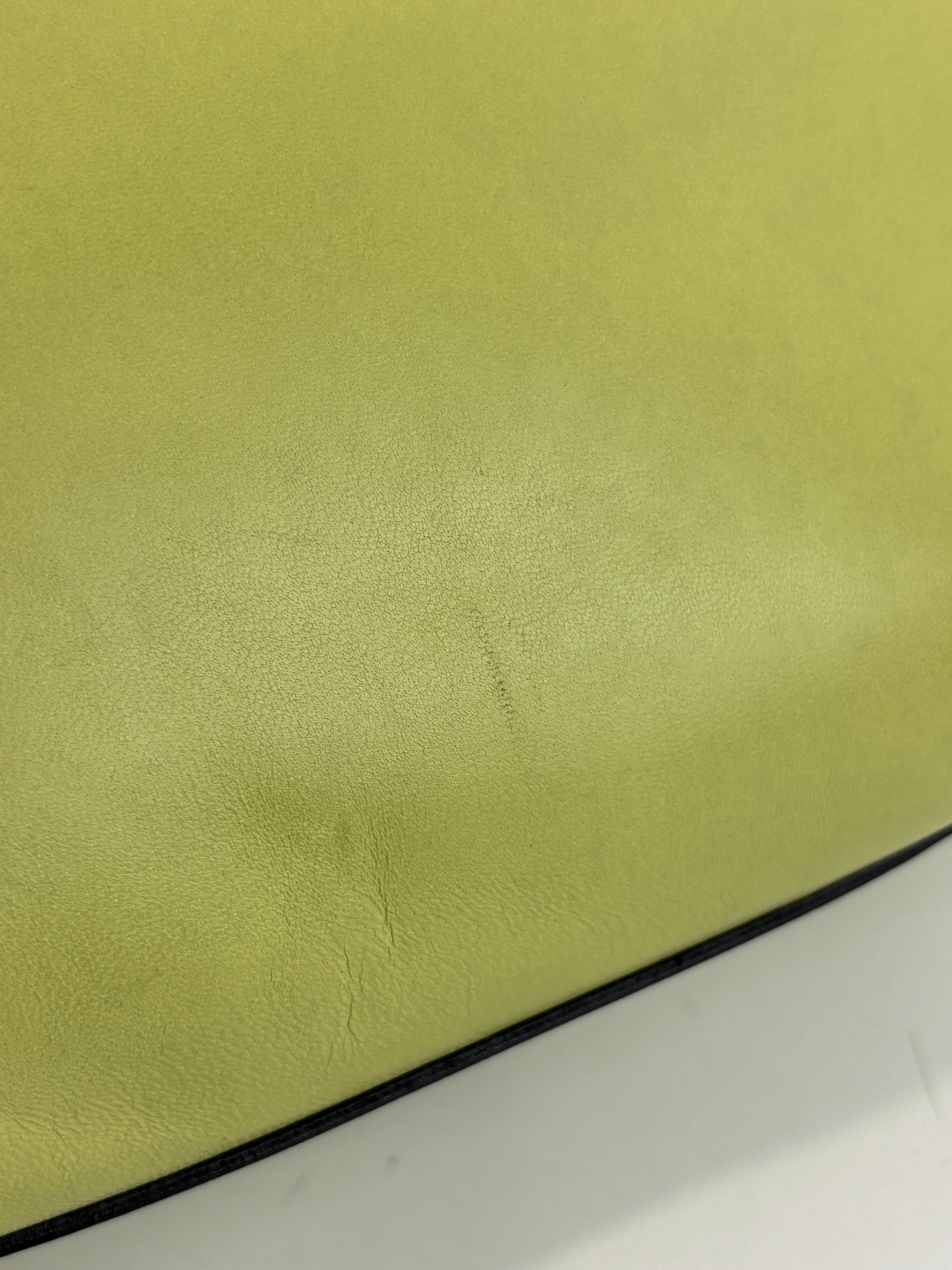 Amazona 36 in Olive Green Lambskin Leather