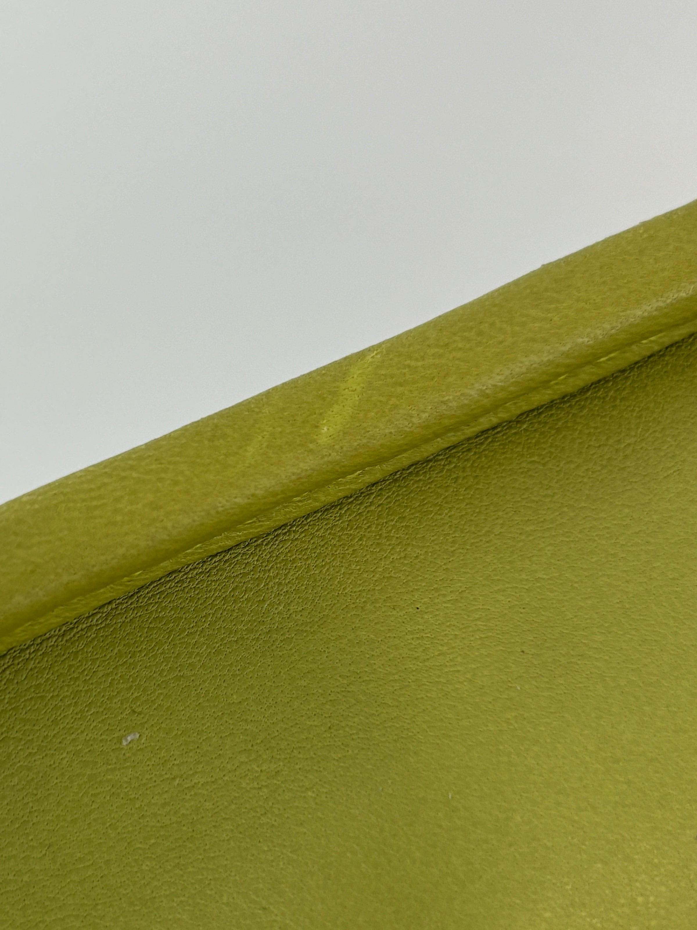 Amazona 36 in Olive Green Lambskin Leather