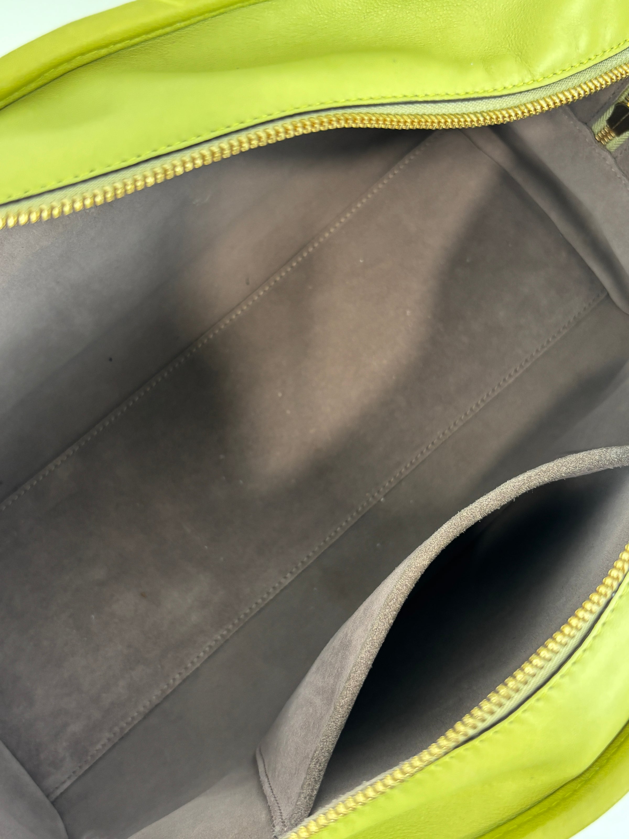 Amazona 36 in Olive Green Lambskin Leather
