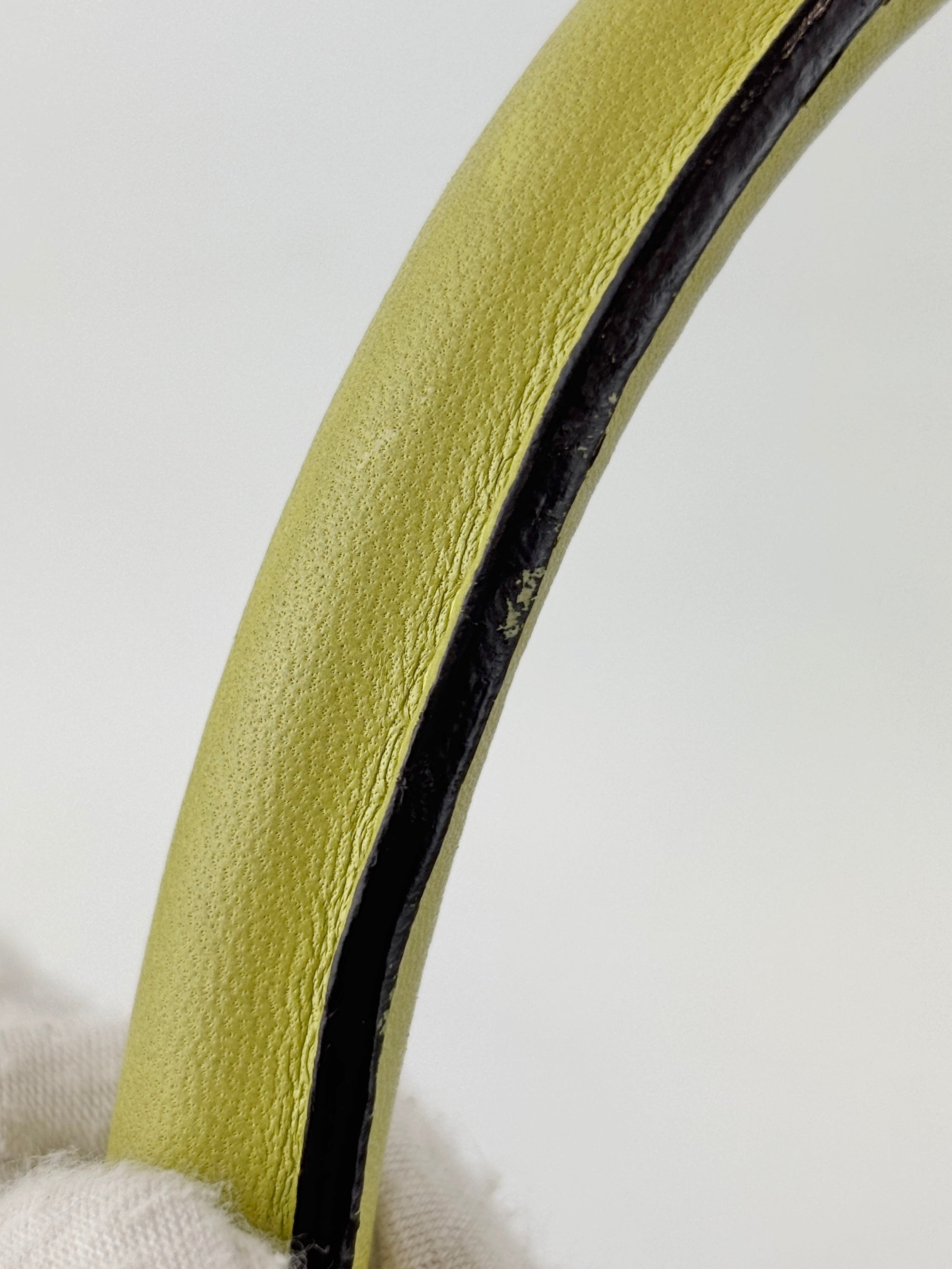 Amazona 36 in Olive Green Lambskin Leather