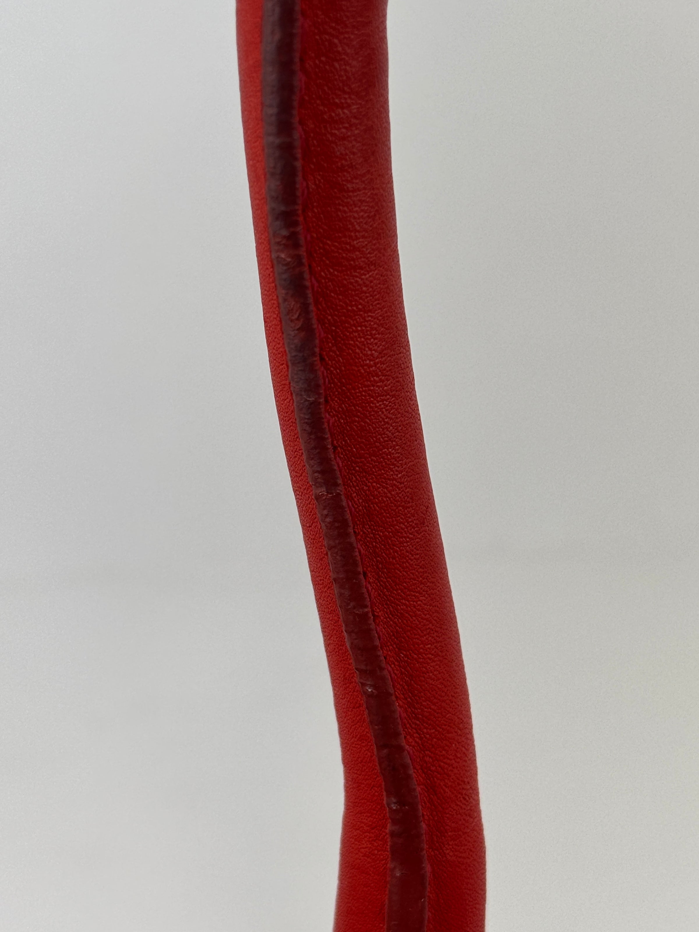 Mini Luggage Tote in Red Calfskin