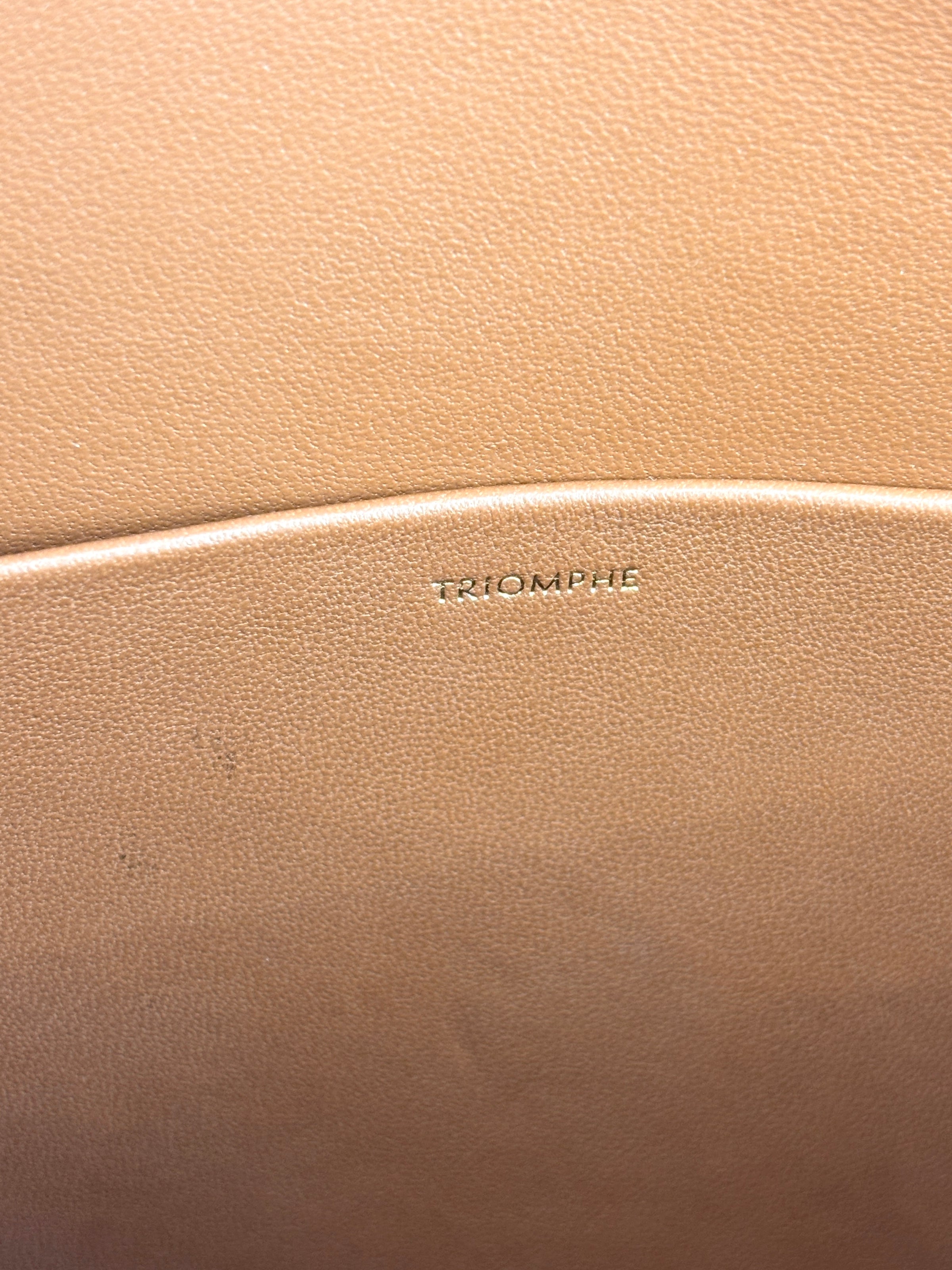 Medium Triomphe Canvas Calfskin Tan Bag