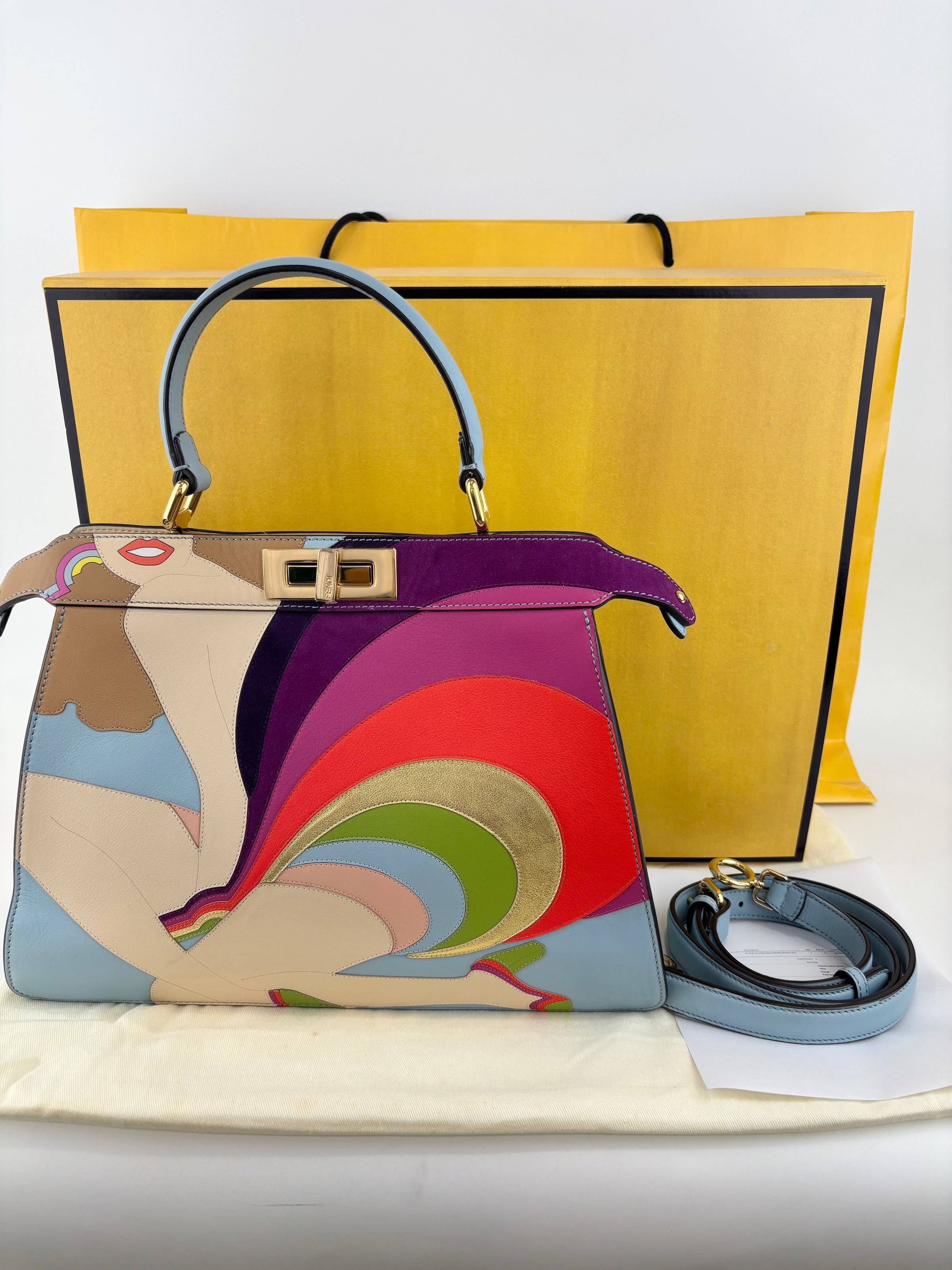 Multicolor Leather and Suede Medium Girl Inlay Peekaboo ISeeU Top Handle Bag