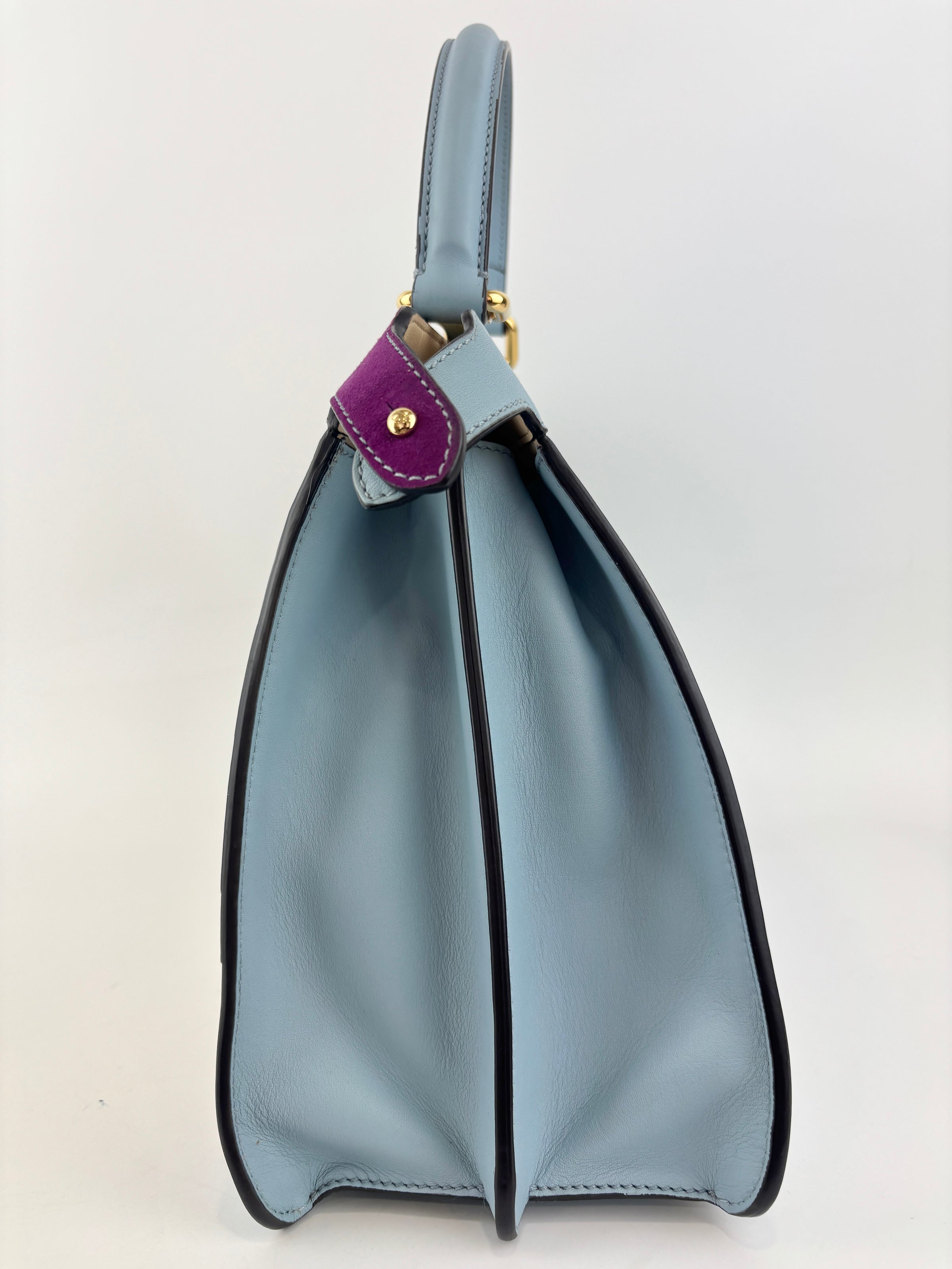 Multicolor Leather and Suede Medium Girl Inlay Peekaboo ISeeU Top Handle Bag