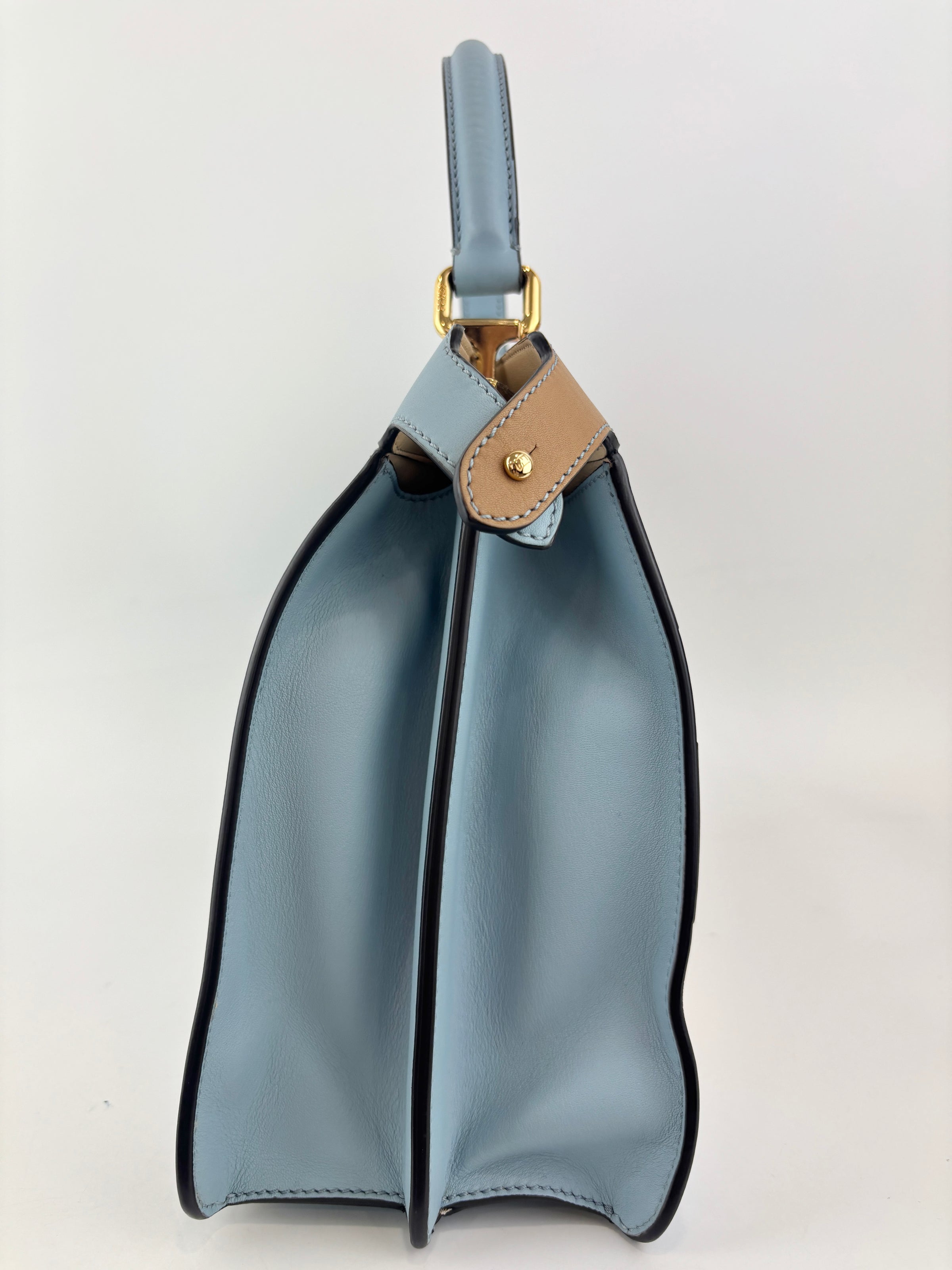 Multicolor Leather and Suede Medium Girl Inlay Peekaboo ISeeU Top Handle Bag