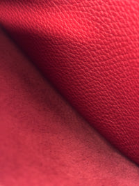 Evelyne PM III 2 Taurillon Clemence Rouge Garance