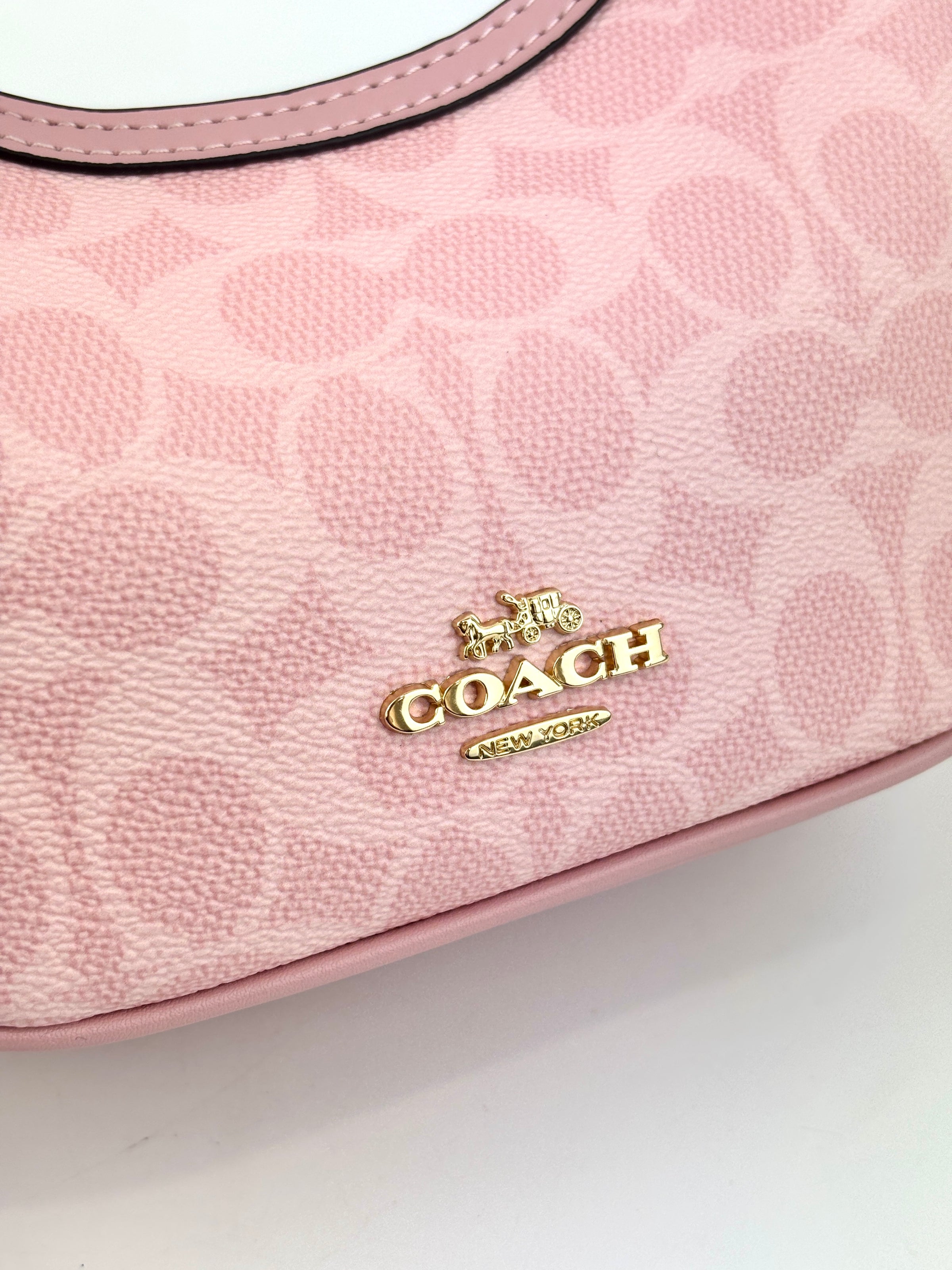 Pink Carmen Mini Crossbody Bag In Signature Canvas CAM83 - Glampot