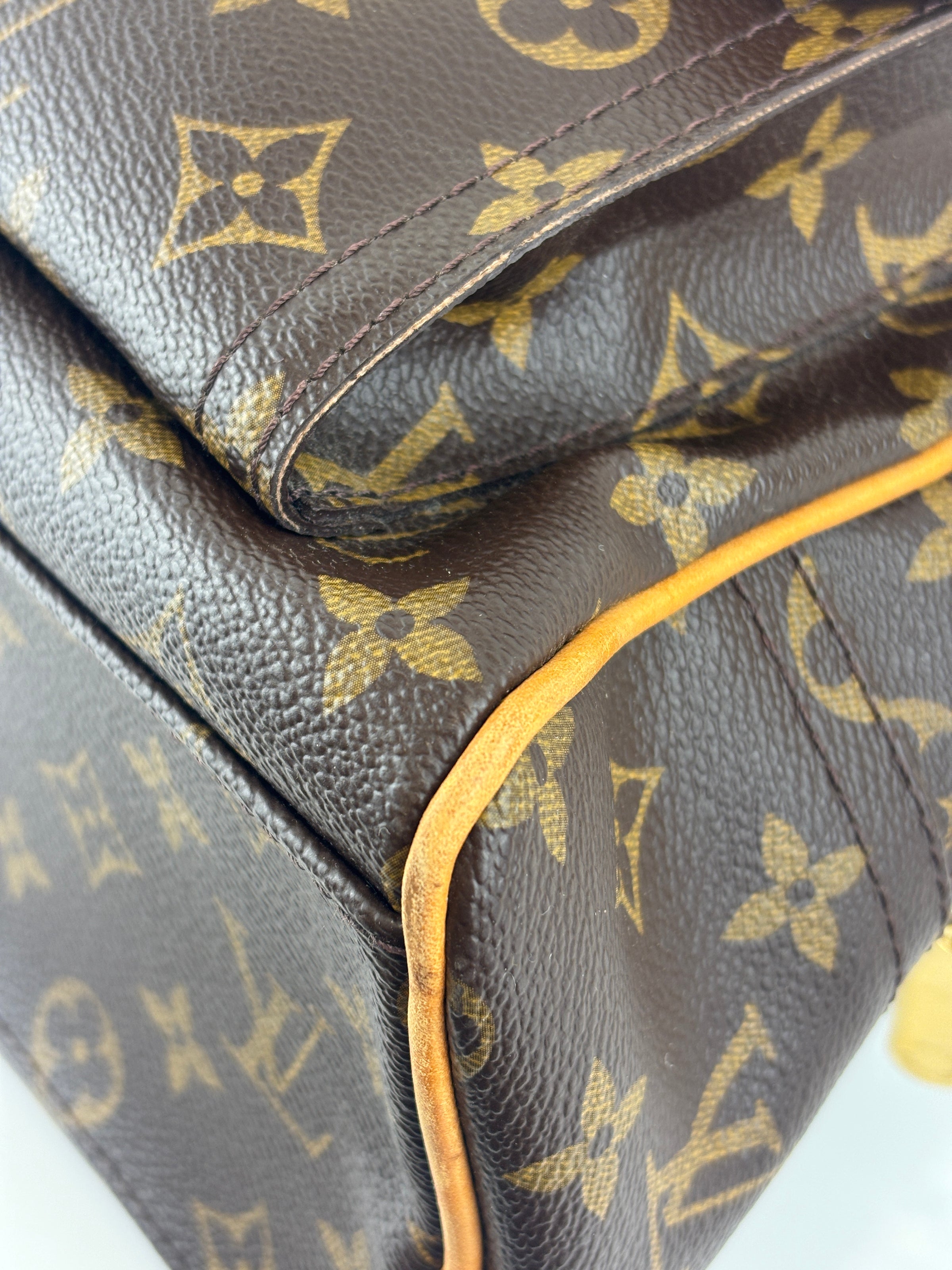 Manhattan GM Monogram Canvas
