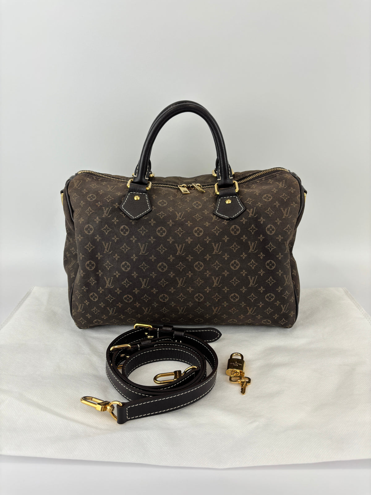 Speedy 30 Bandouliere Mini Lin Idylle Fusain