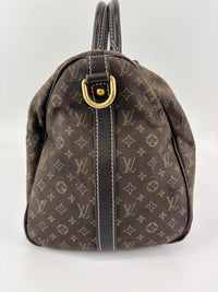 Speedy 30 Bandouliere Mini Lin Idylle Fusain