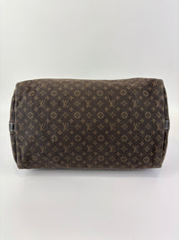 Speedy 30 Bandouliere Mini Lin Idylle Fusain