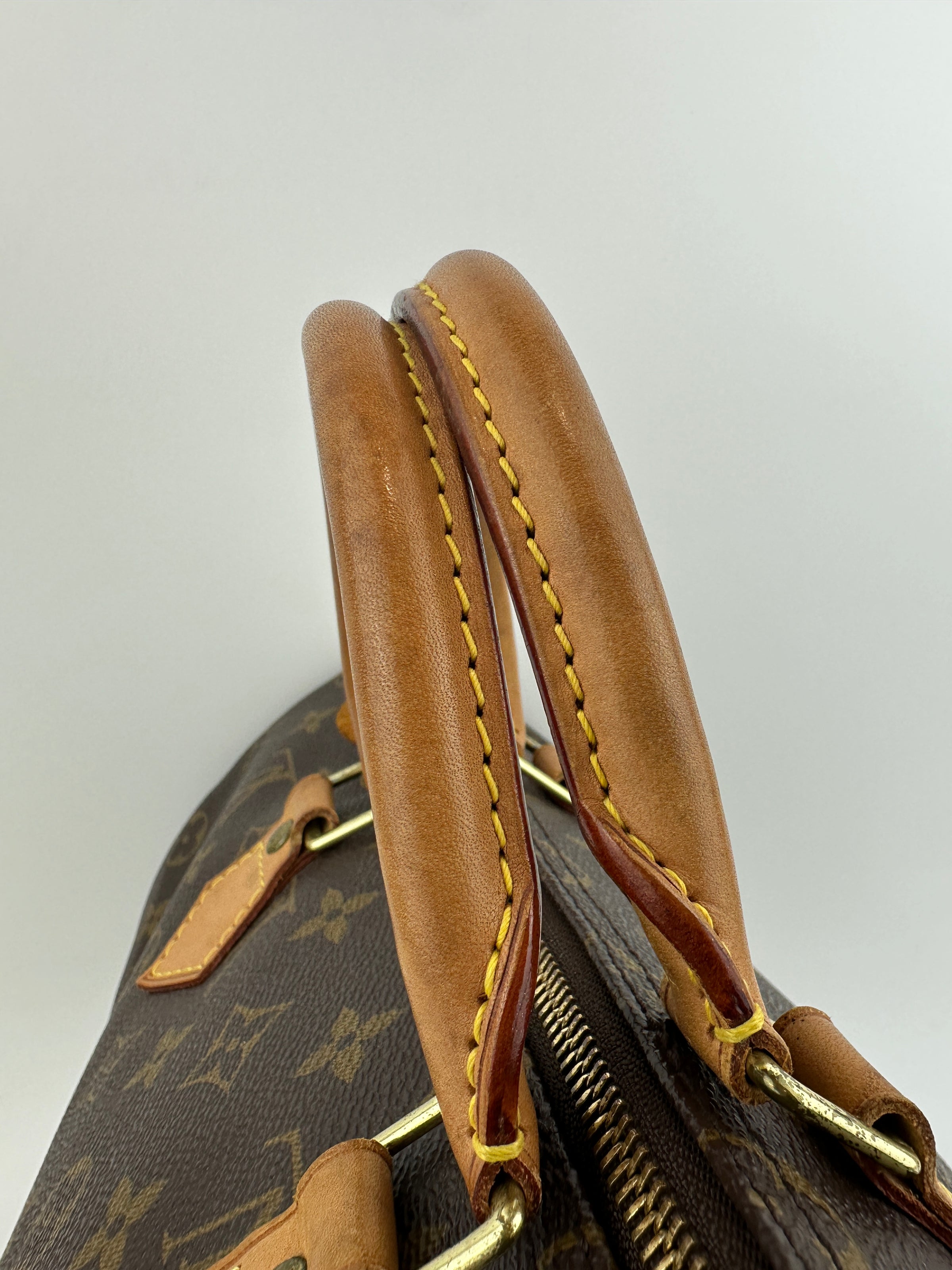 Speedy 35 Monogram Canvas