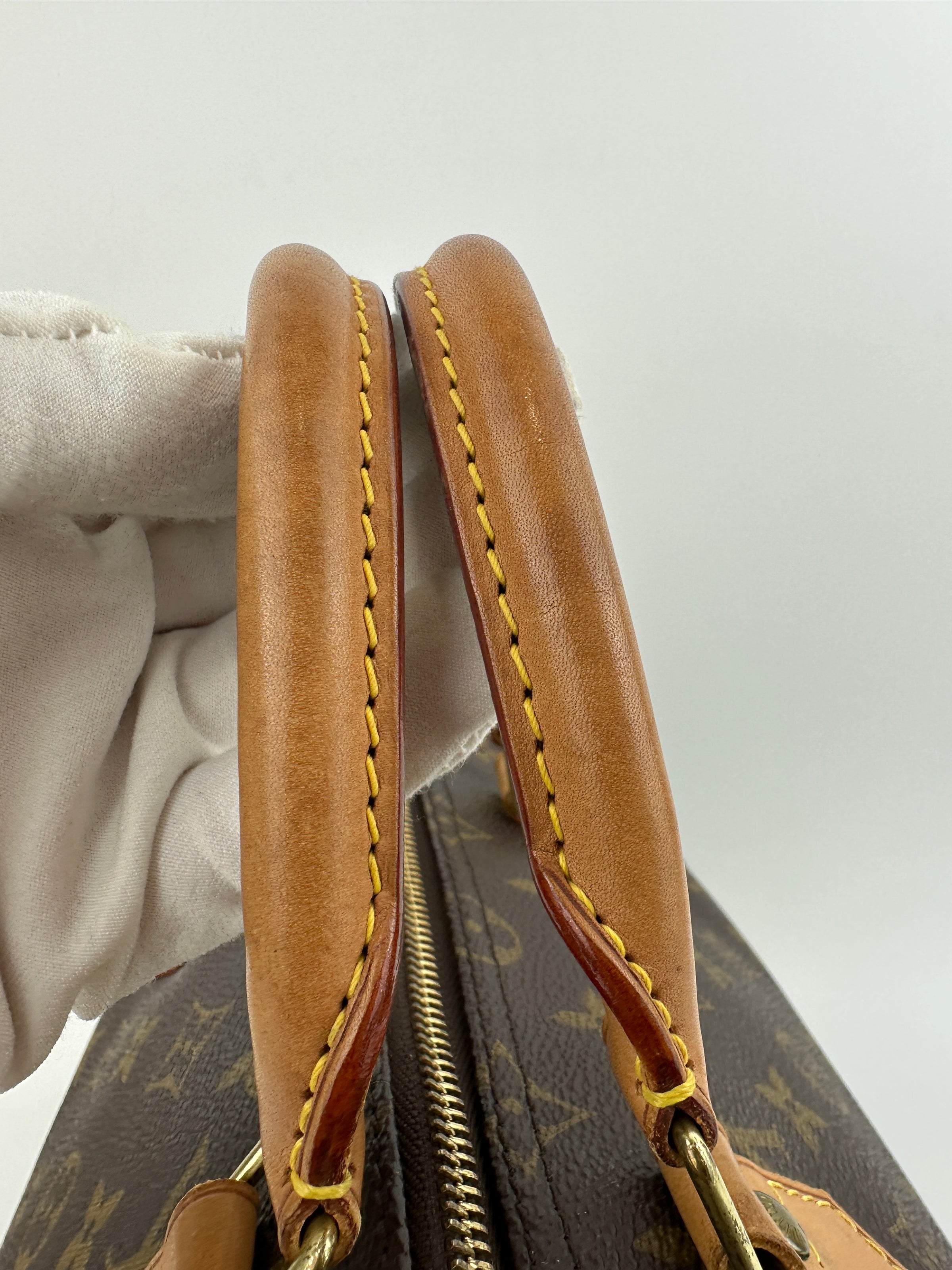 Speedy 35 Monogram Canvas