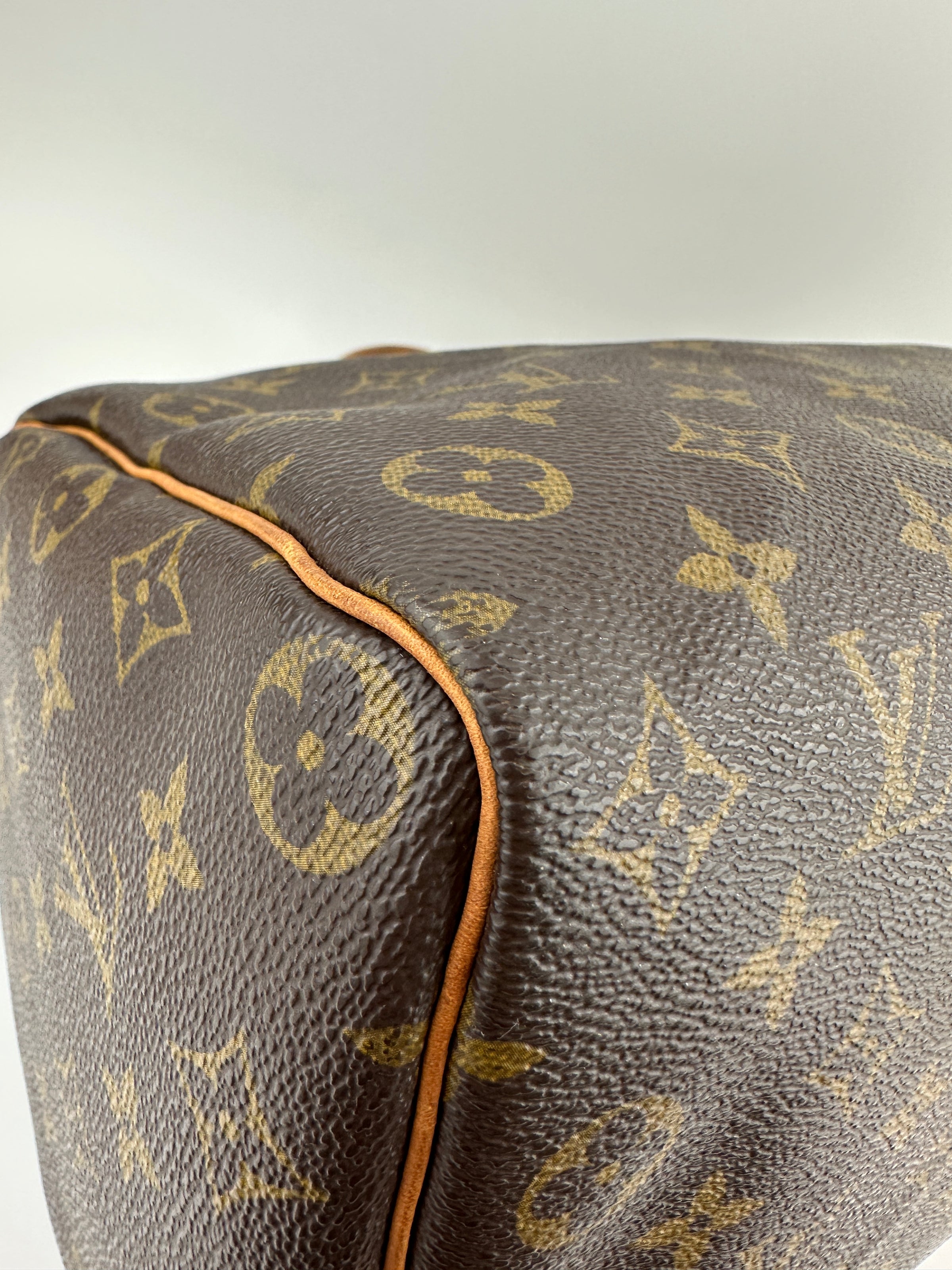 Speedy 35 Monogram Canvas