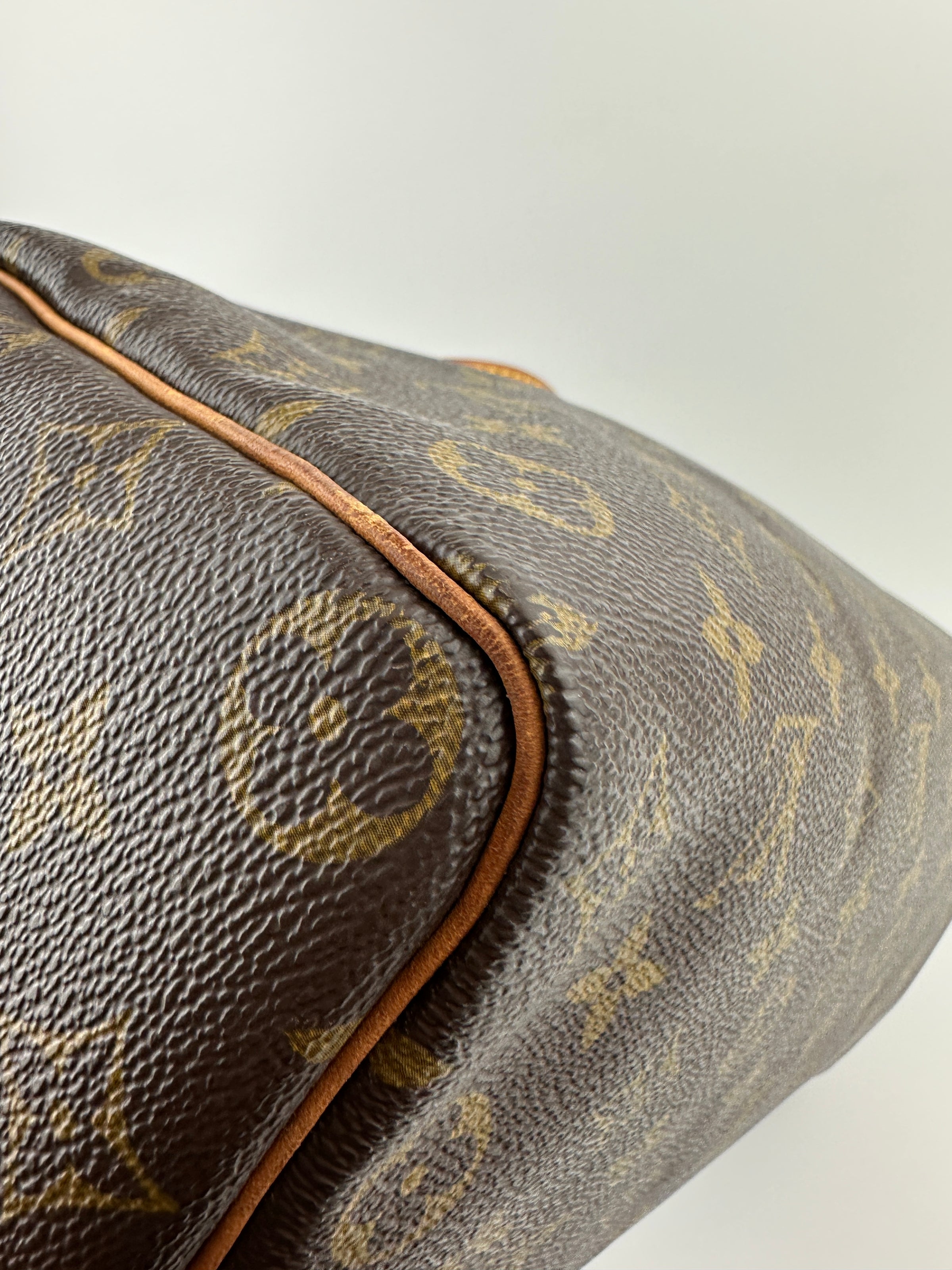 Speedy 35 Monogram Canvas