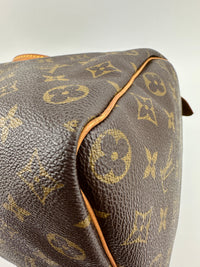 Speedy 35 Monogram Canvas