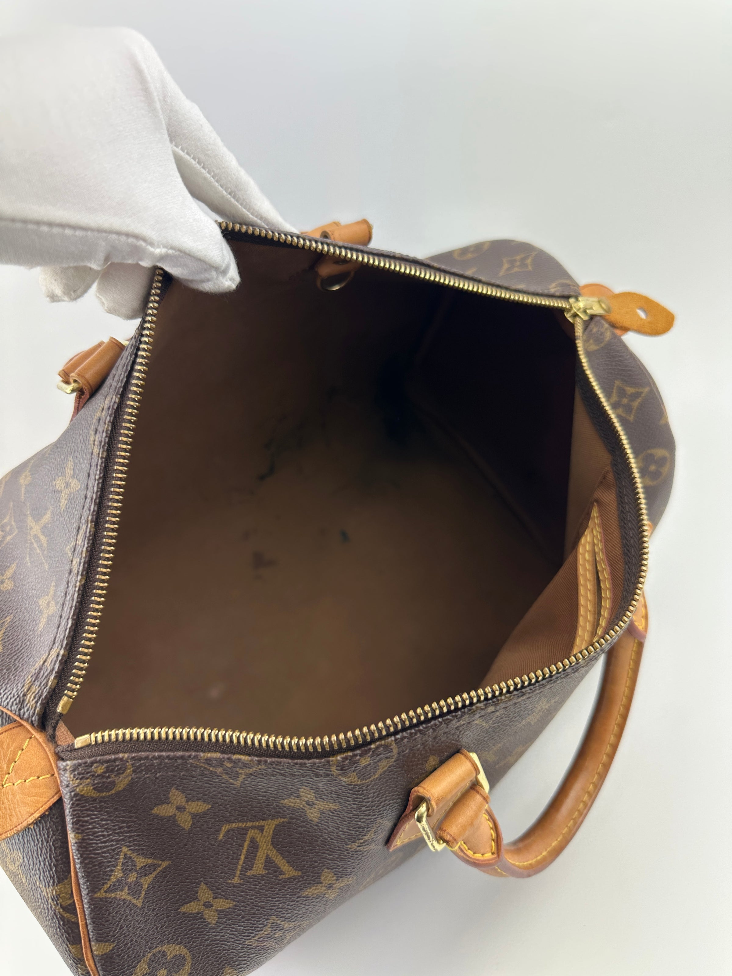 Speedy 35 Monogram Canvas