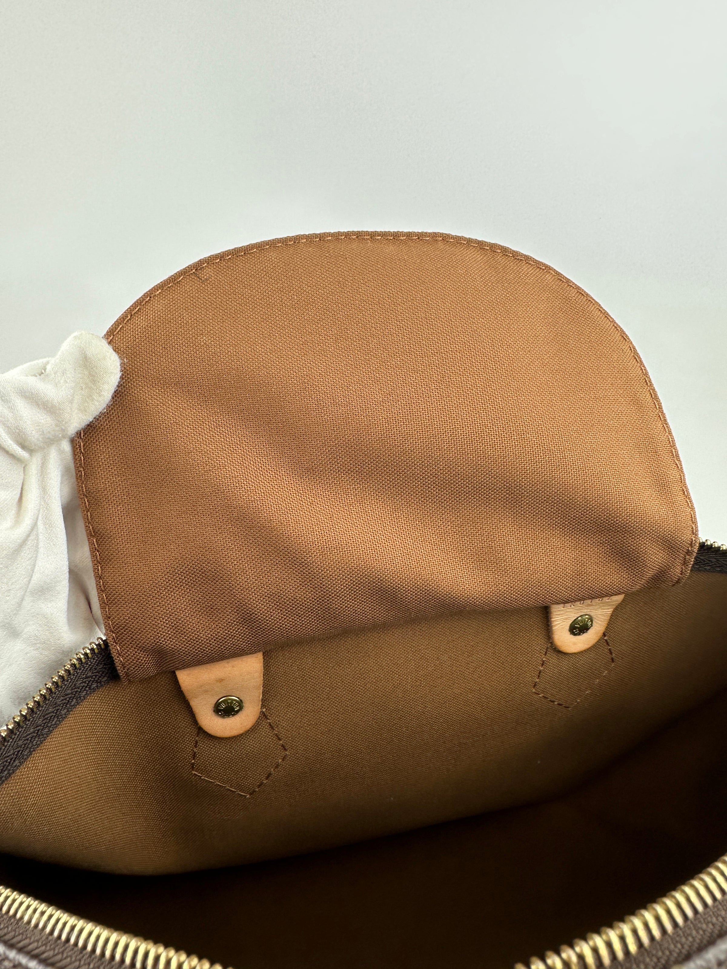 Speedy 35 Monogram Canvas