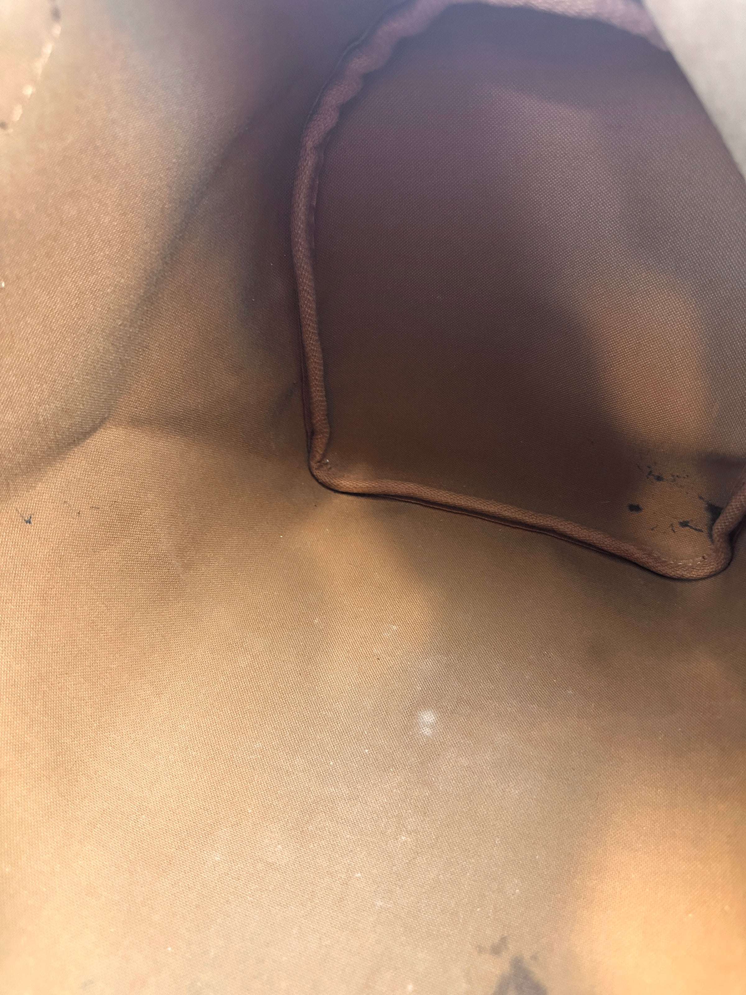 Speedy 35 Monogram Canvas