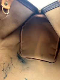 Speedy 35 Monogram Canvas