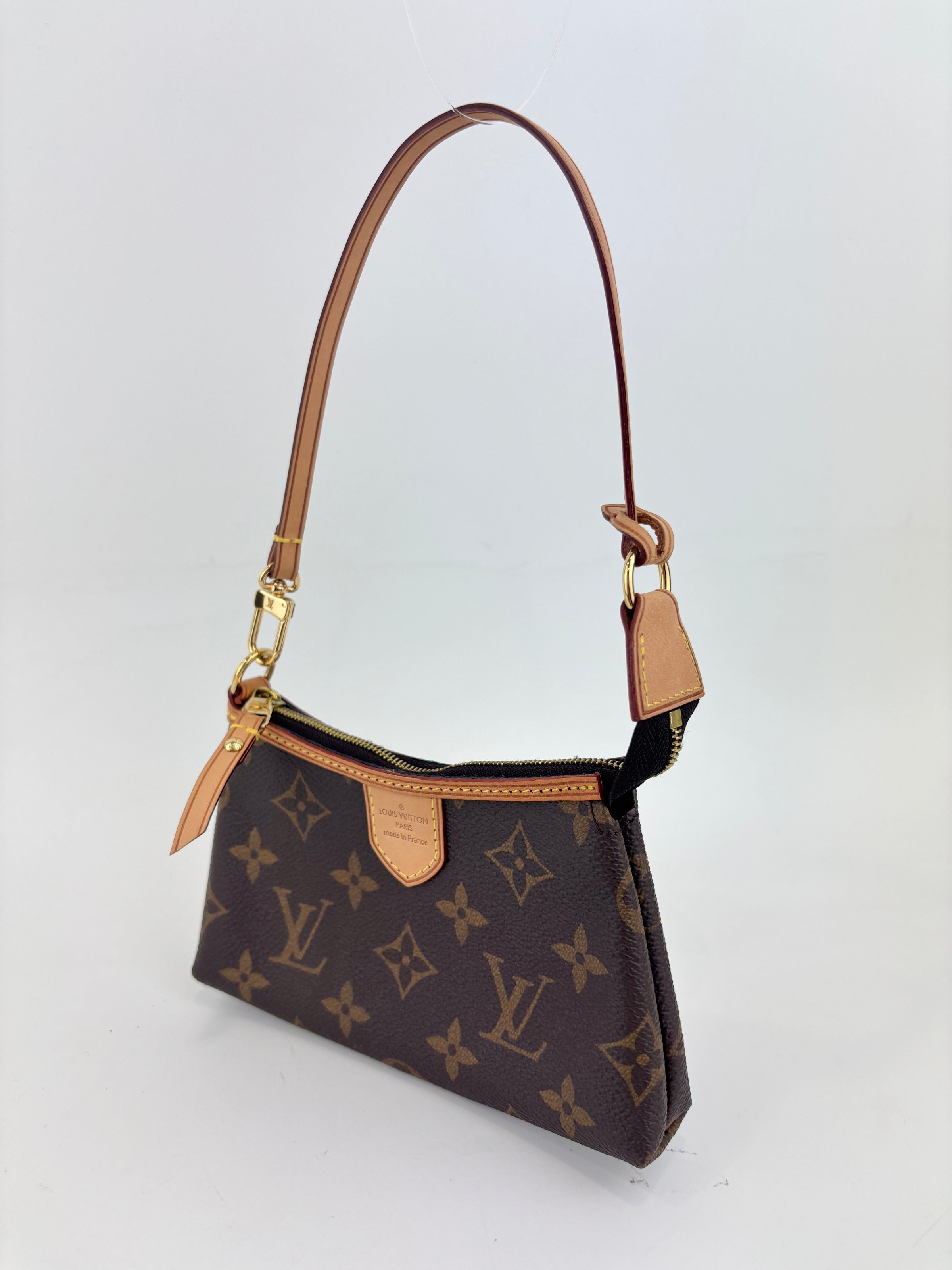 Mini Delightful Pochette Monogram Canvas