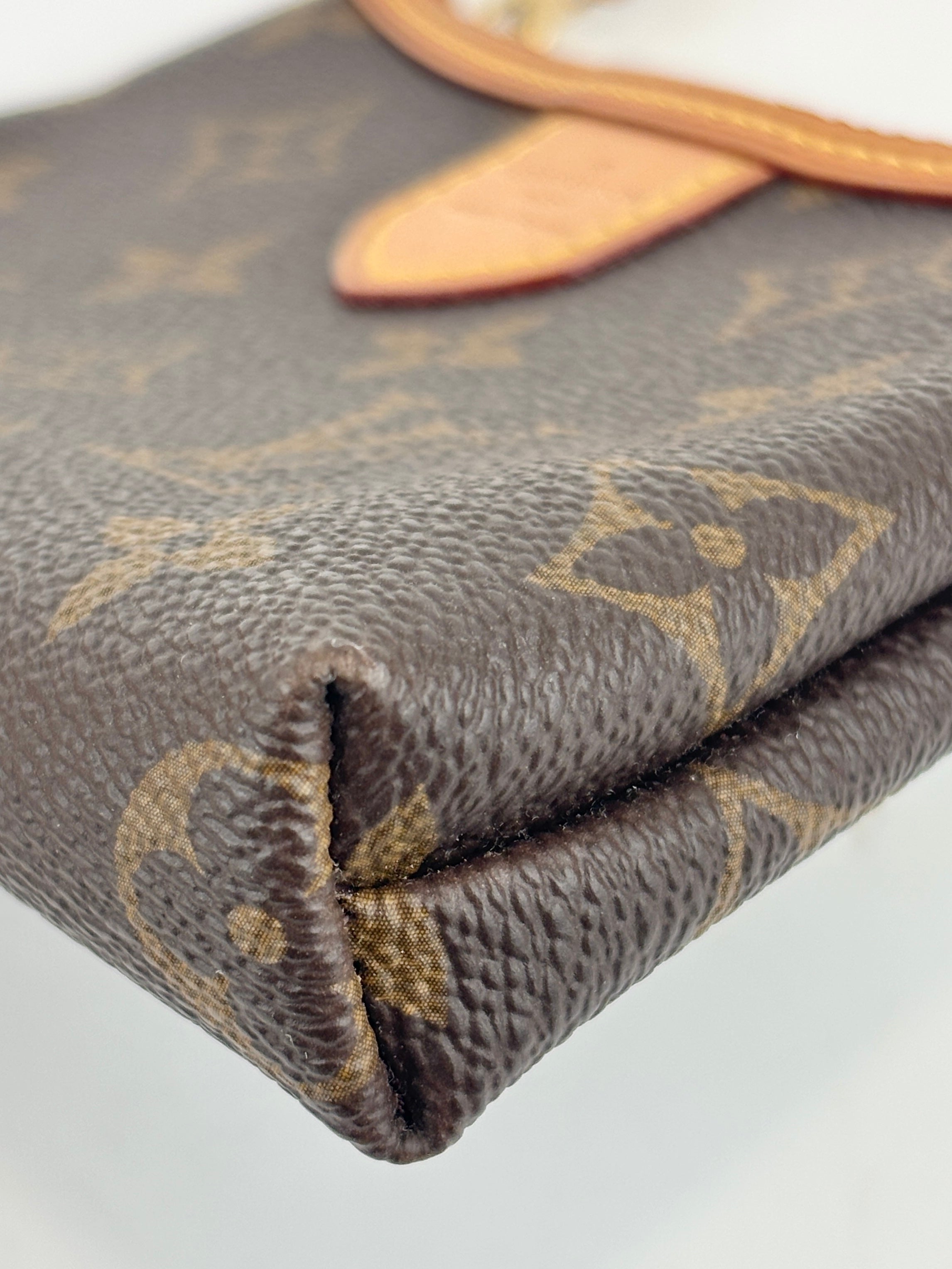 Mini Delightful Pochette Monogram Canvas