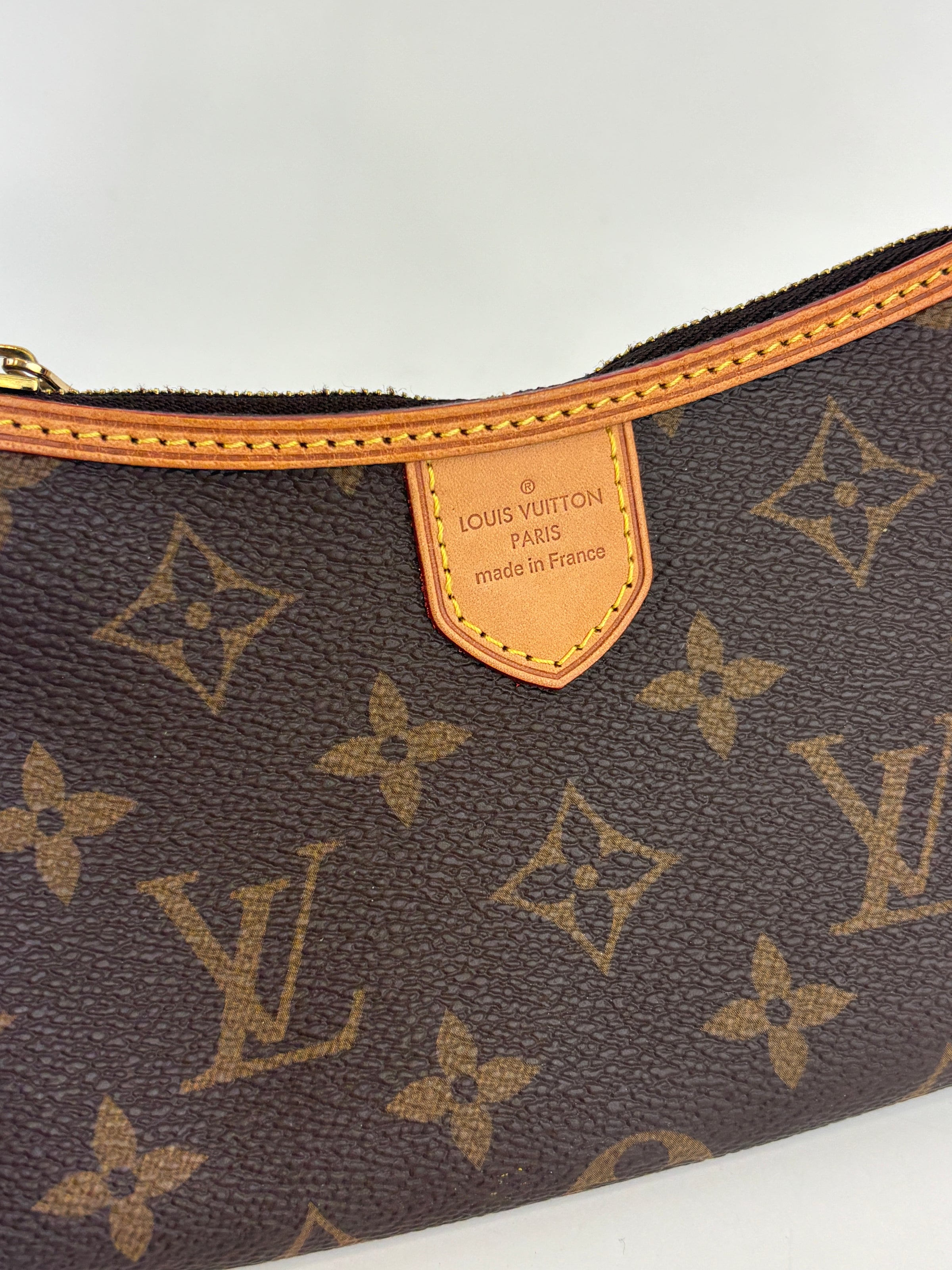 Mini Delightful Pochette Monogram Canvas