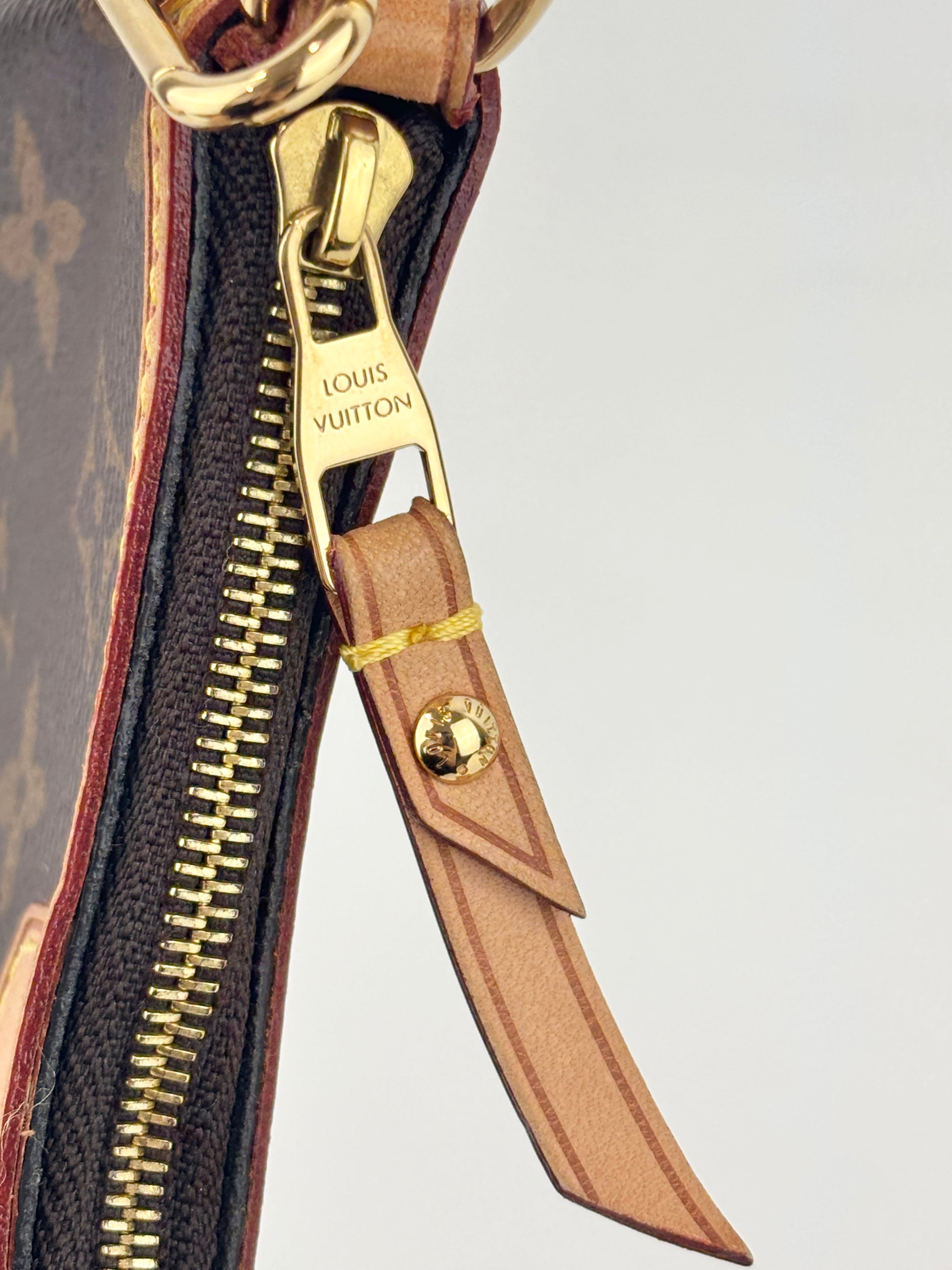 Mini Delightful Pochette Monogram Canvas