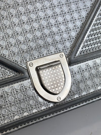 Medium Diorama Bag Silver Metallic Micro Cannage