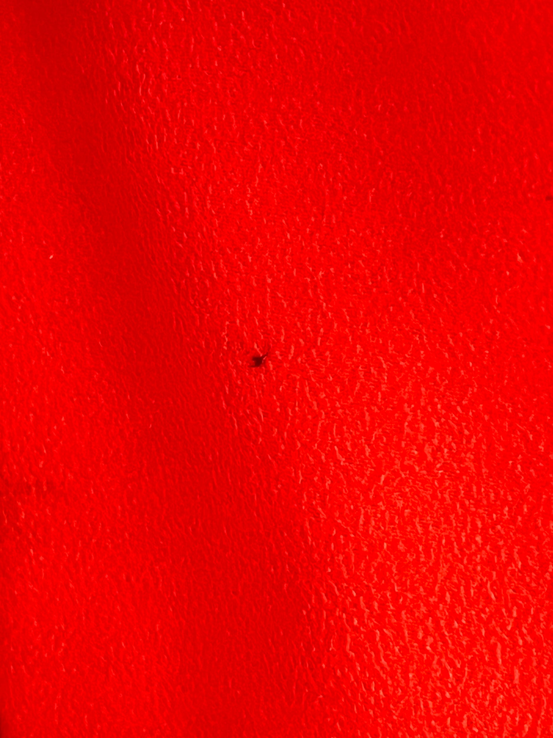 Celine Micro Luggage Tote in Vermillion (Red-Orange)