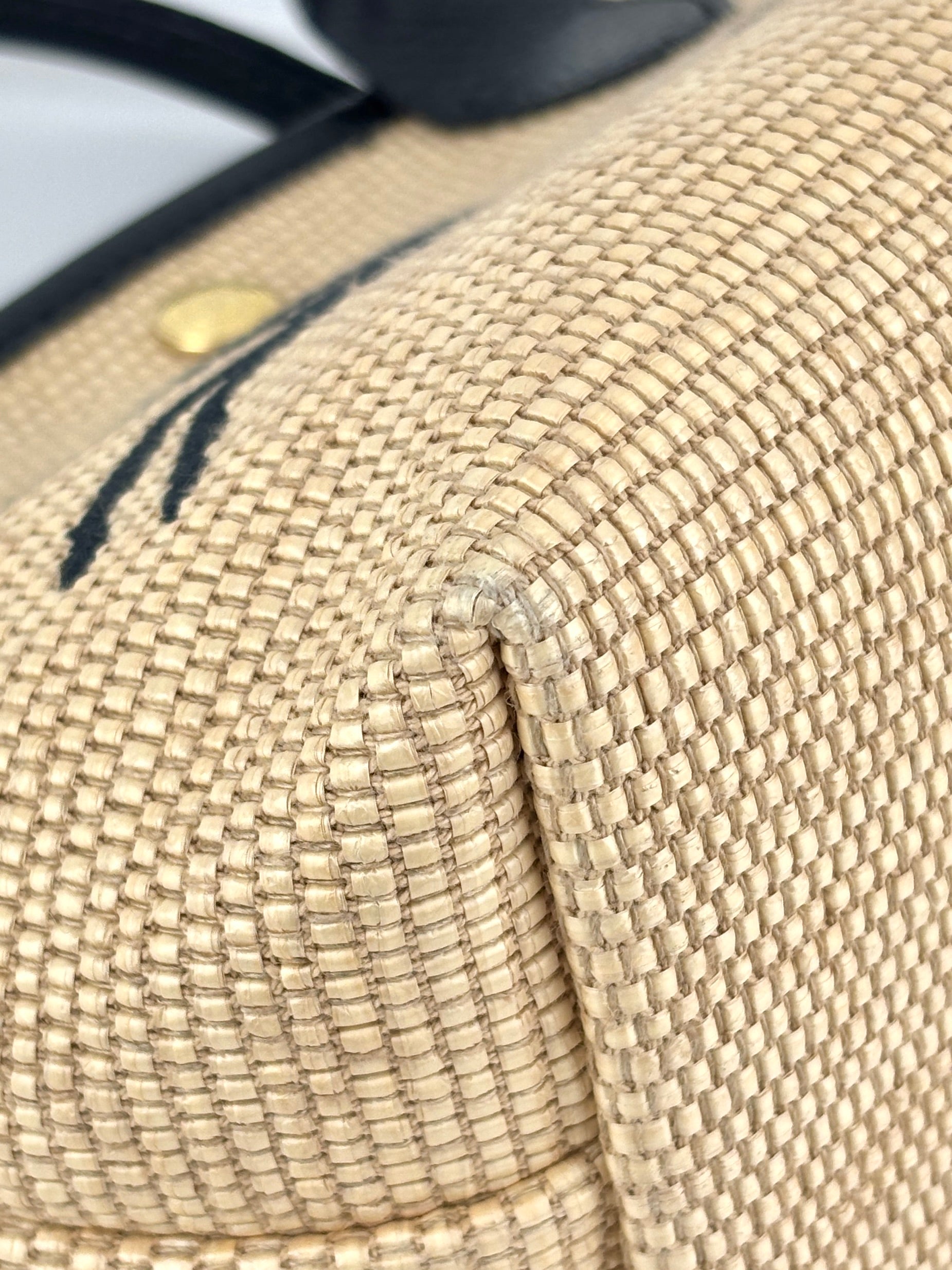 Le Panier Pliage S Canvas Basket Bag