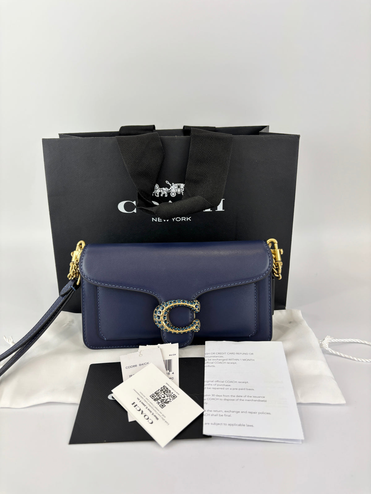 CDD66 Tabby Chain Crossbody Bag 19 in Blue Crystal Embellished Logo