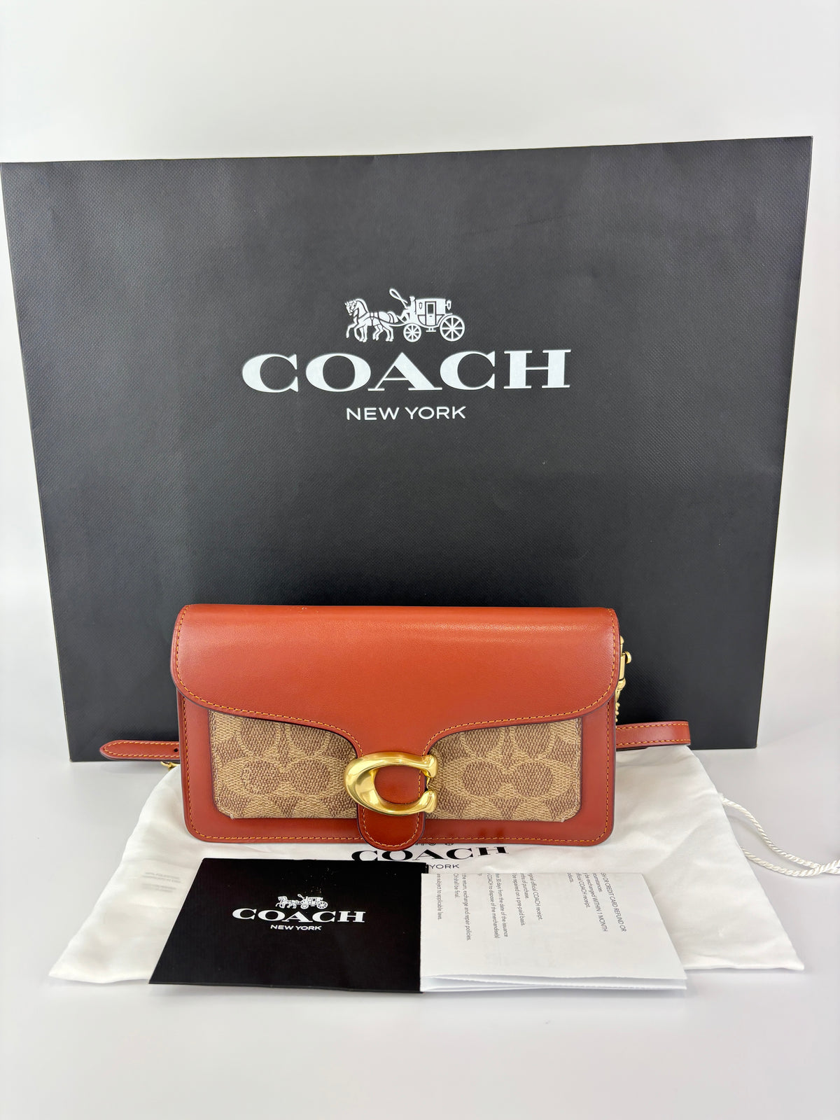 CE774 Tabby Chain Clutch in Signature Canvas