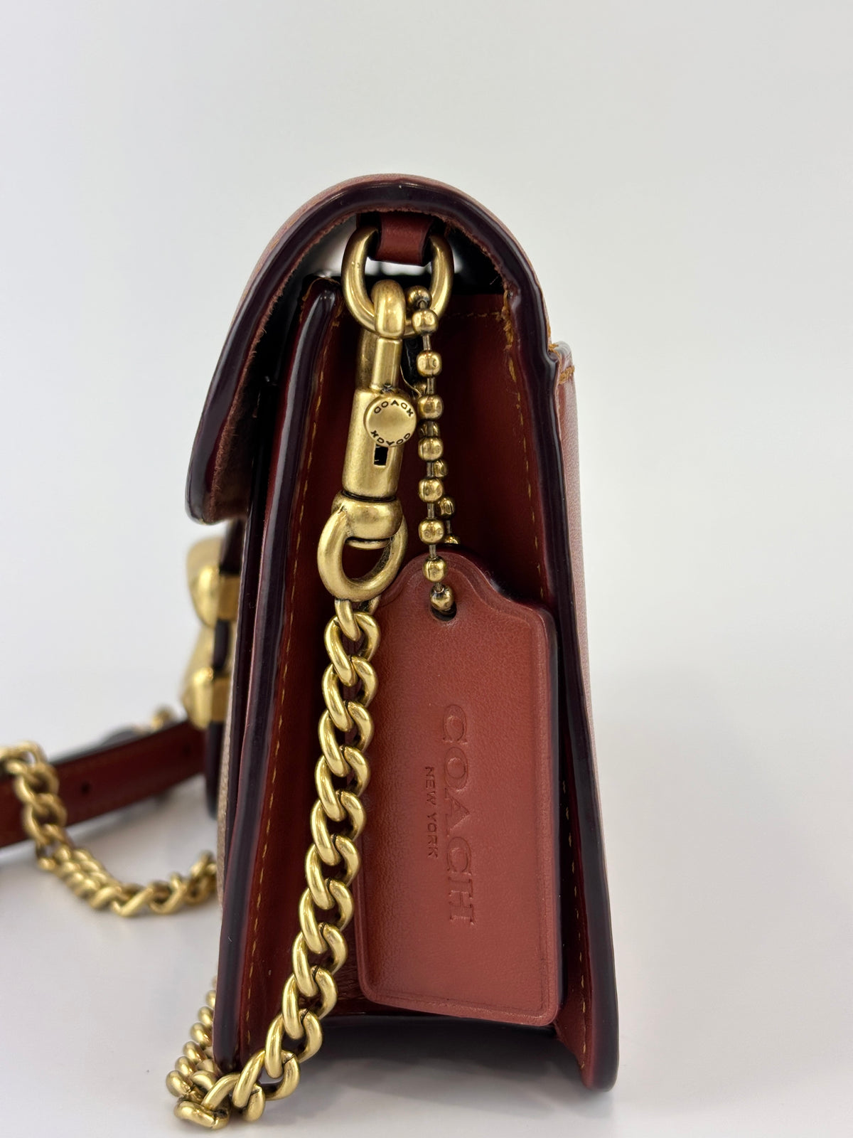 CE774 Tabby Chain Clutch in Signature Canvas