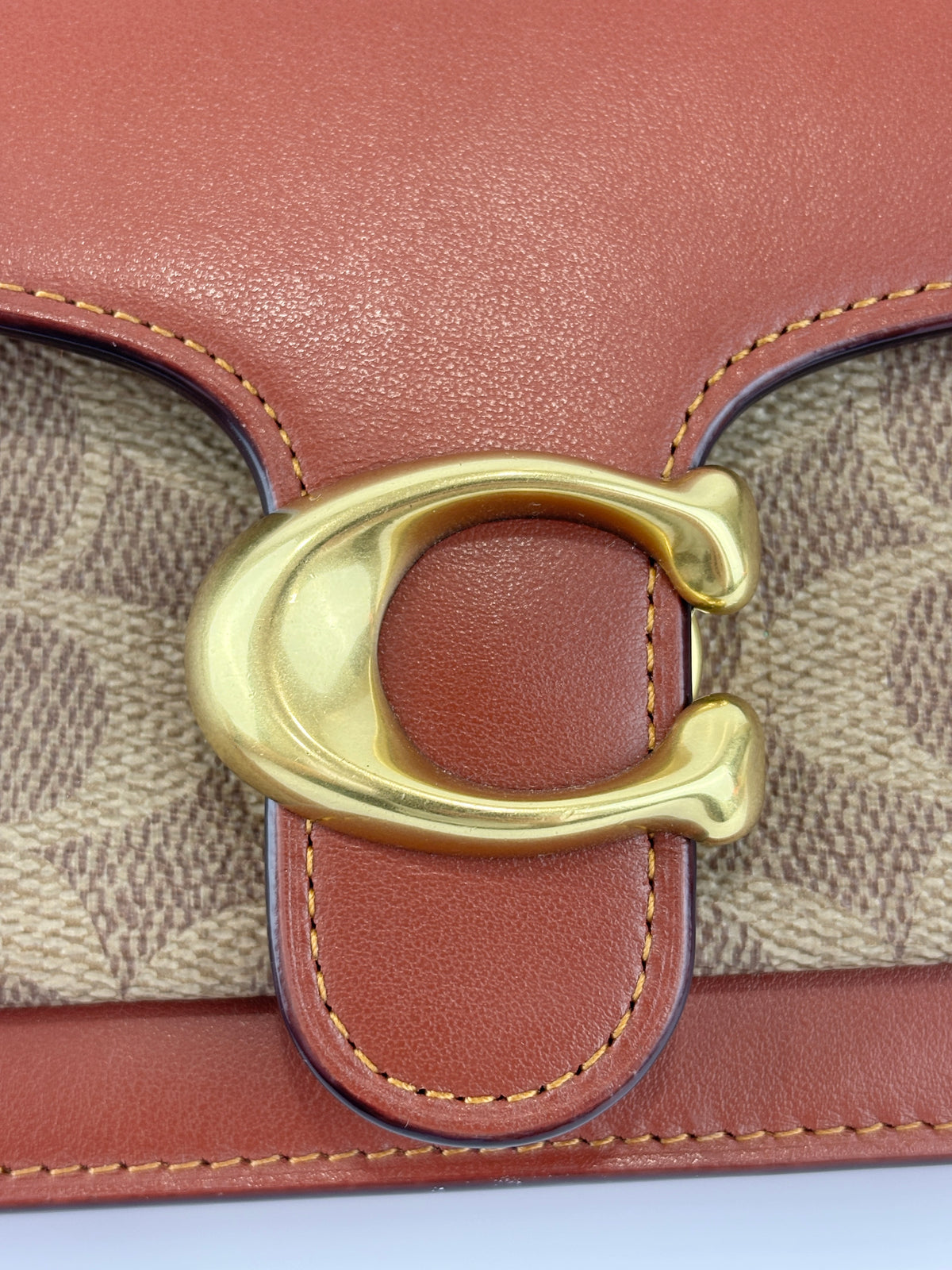 CE774 Tabby Chain Clutch in Signature Canvas