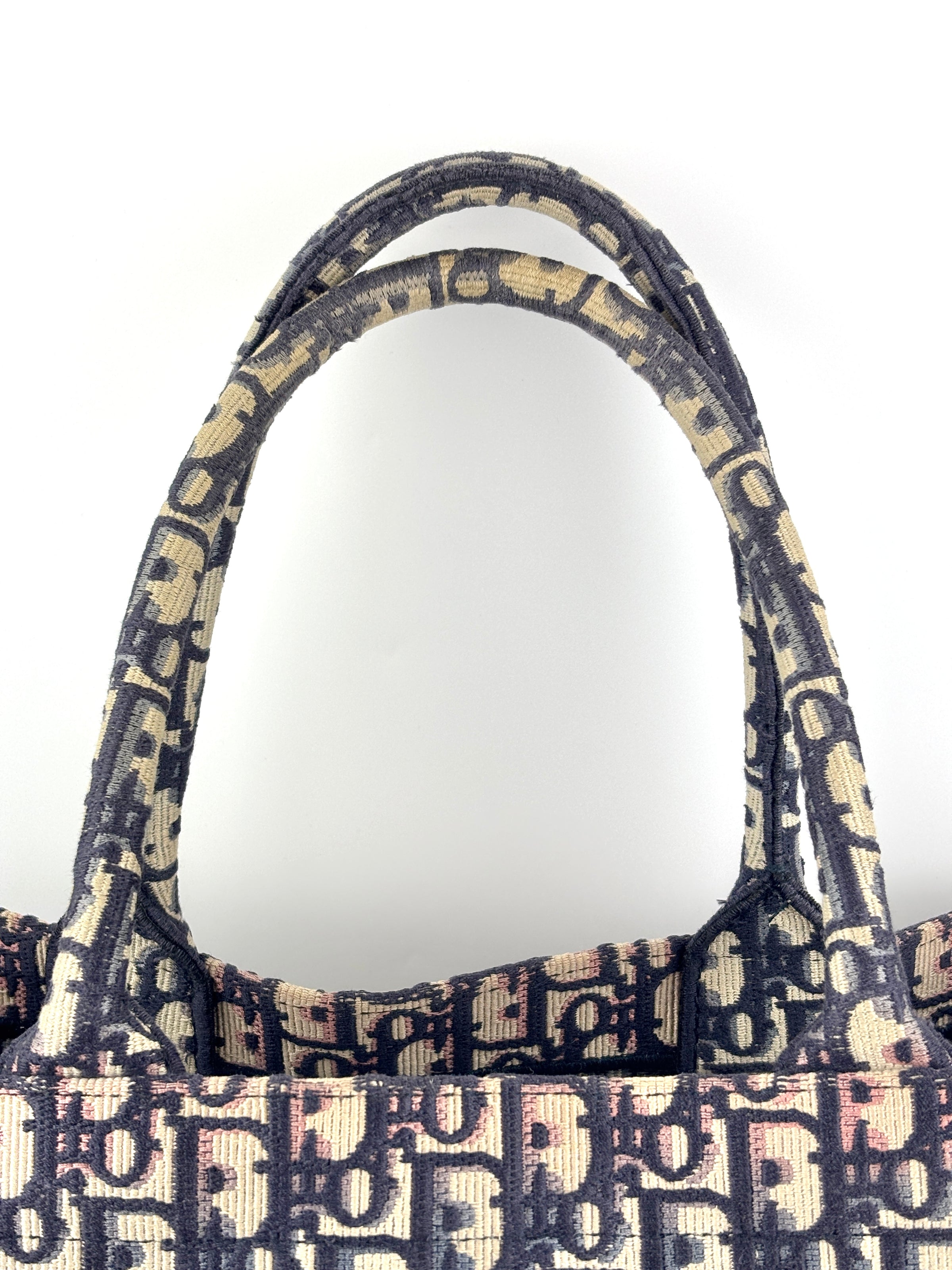 Large Book Tote in Blue Dior Oblique Embroidered Canvas