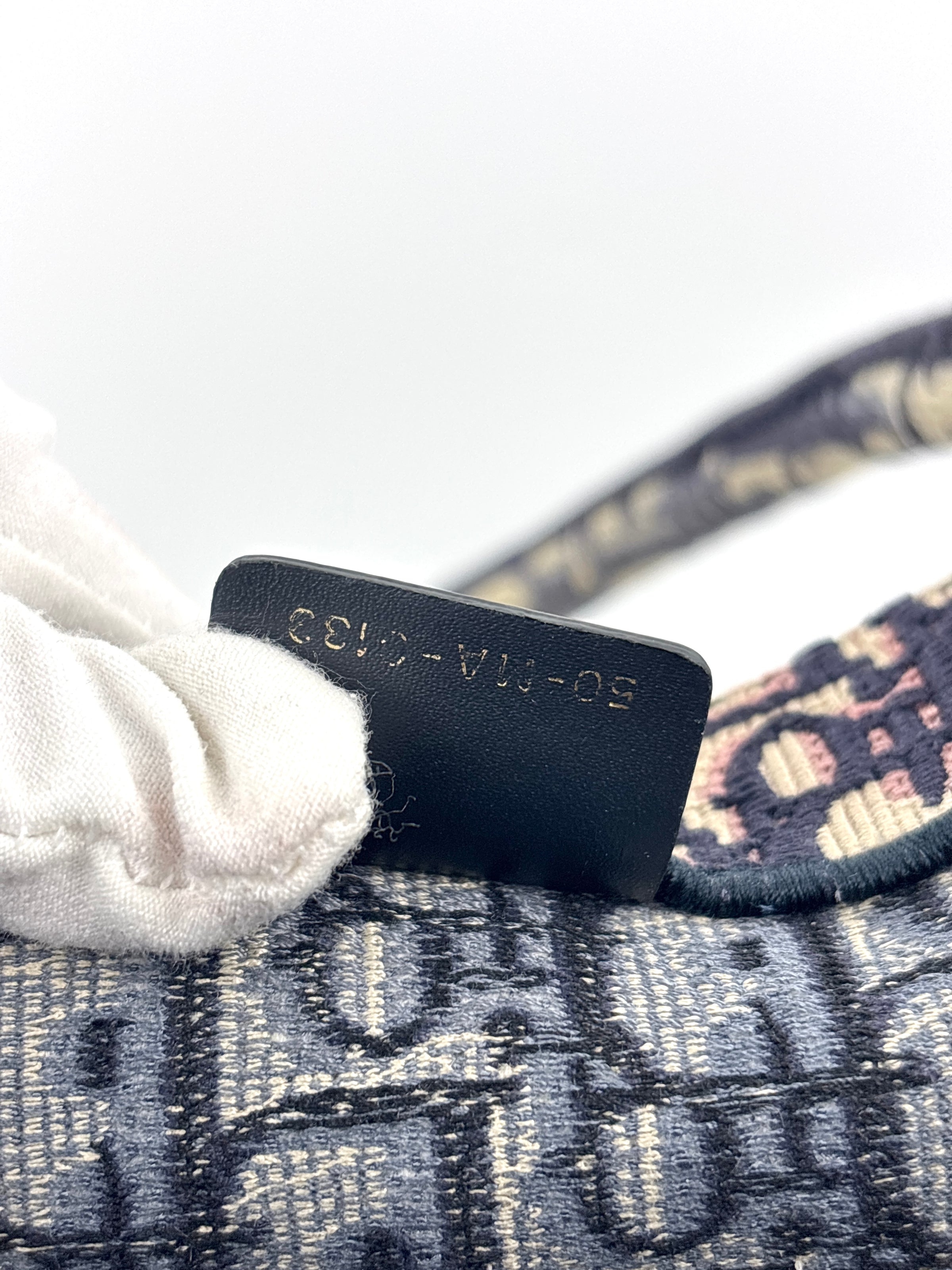 Large Book Tote in Blue Dior Oblique Embroidered Canvas