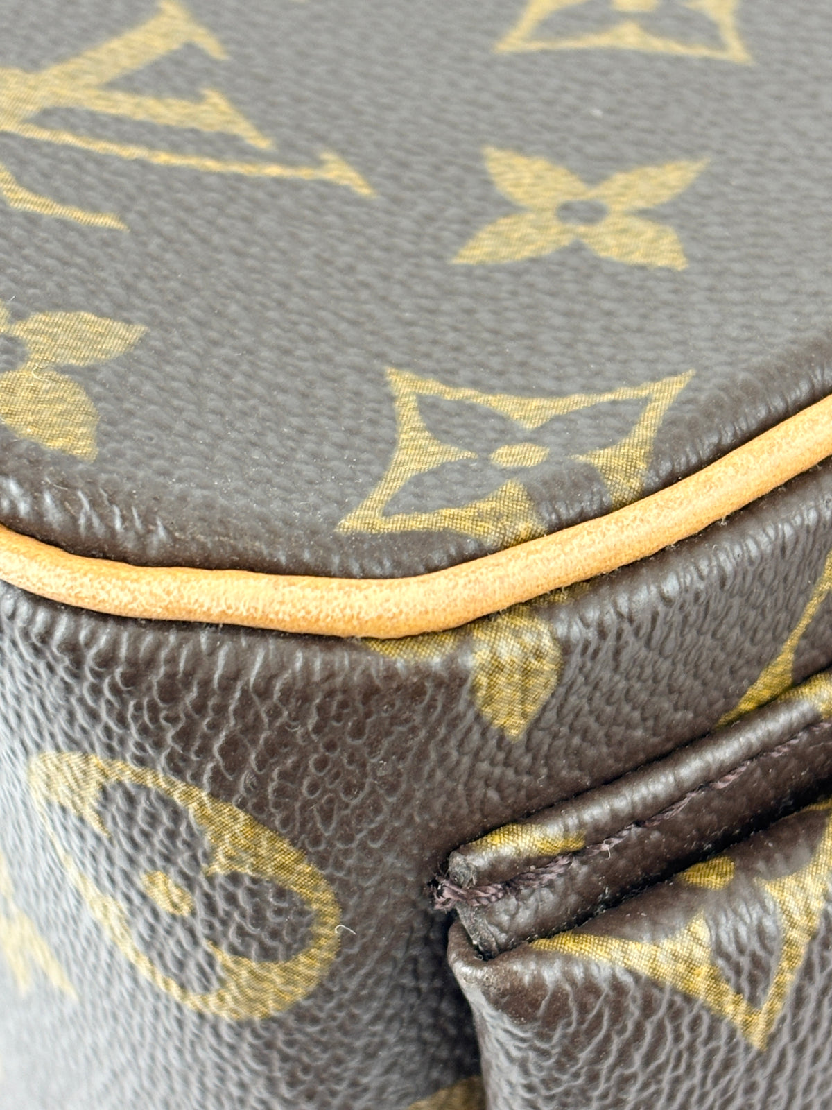 Excentri-Cité Bag in Monogram Canvas