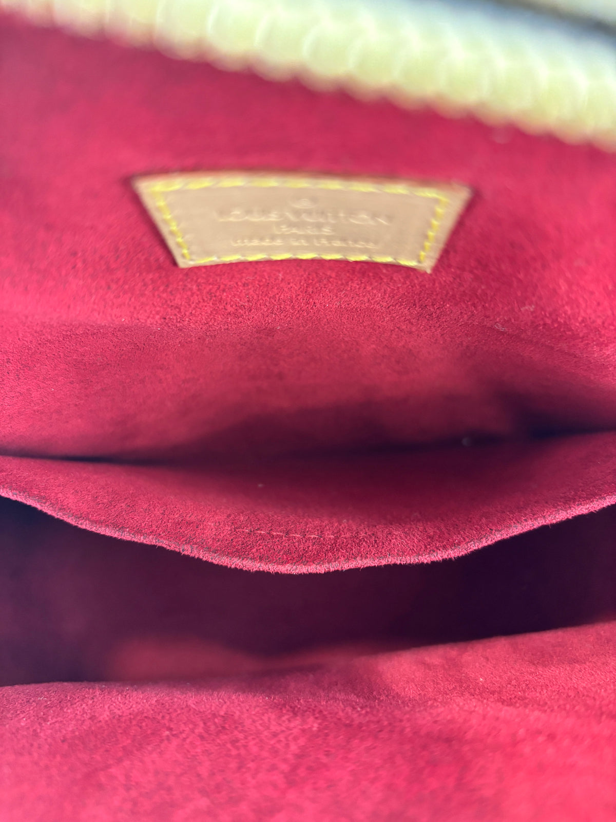 Excentri-Cité Bag in Monogram Canvas