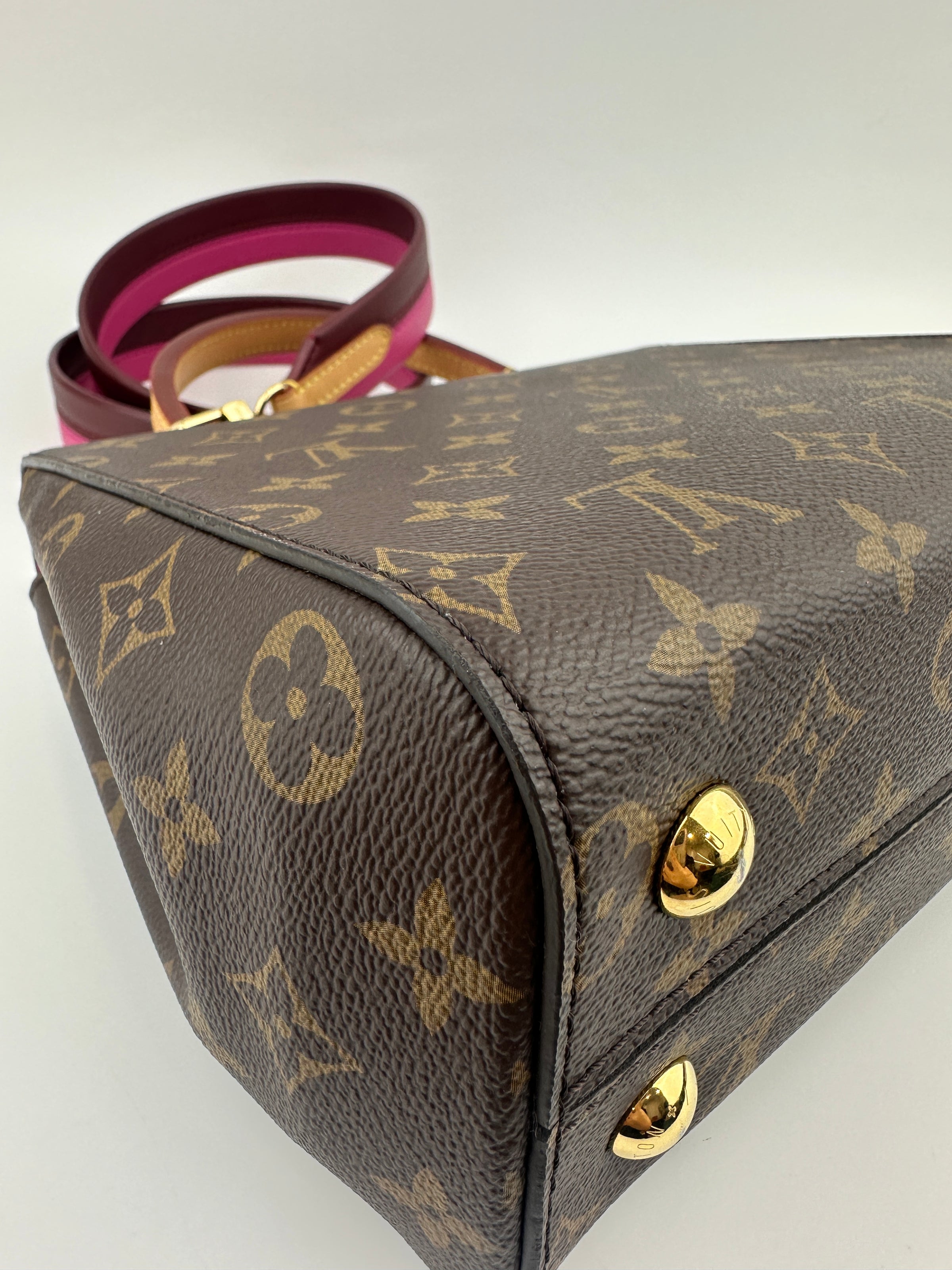 M42738 Cluny BB Monogram Canvas Bordeaux / Fuchsia Bag