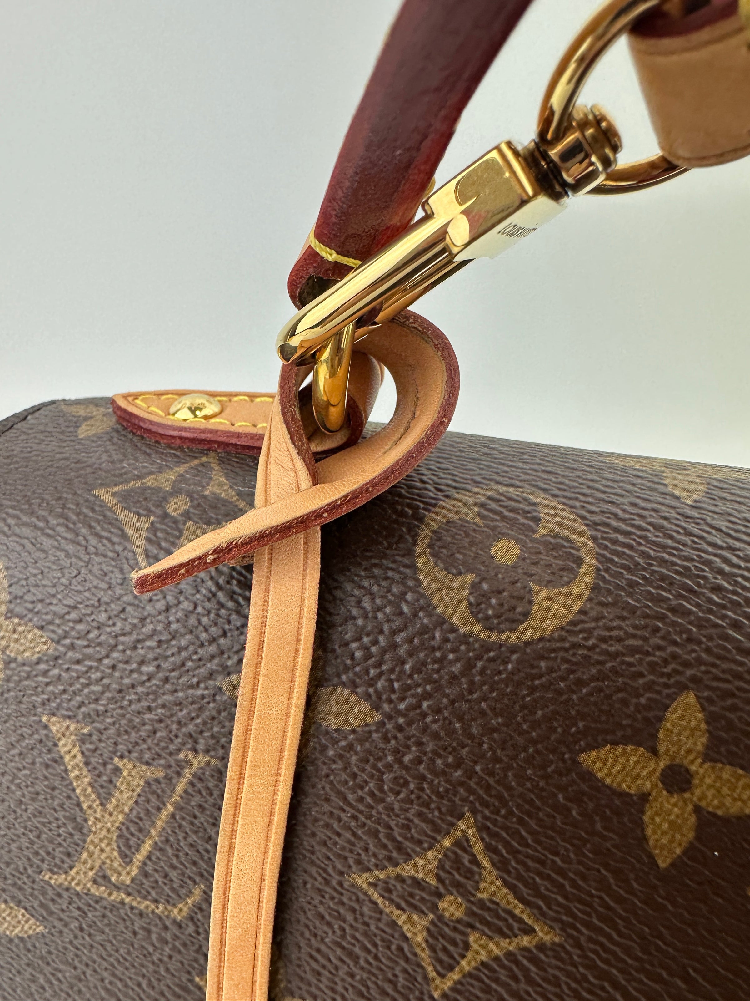 M42738 Cluny BB Monogram Canvas Bordeaux / Fuchsia Bag