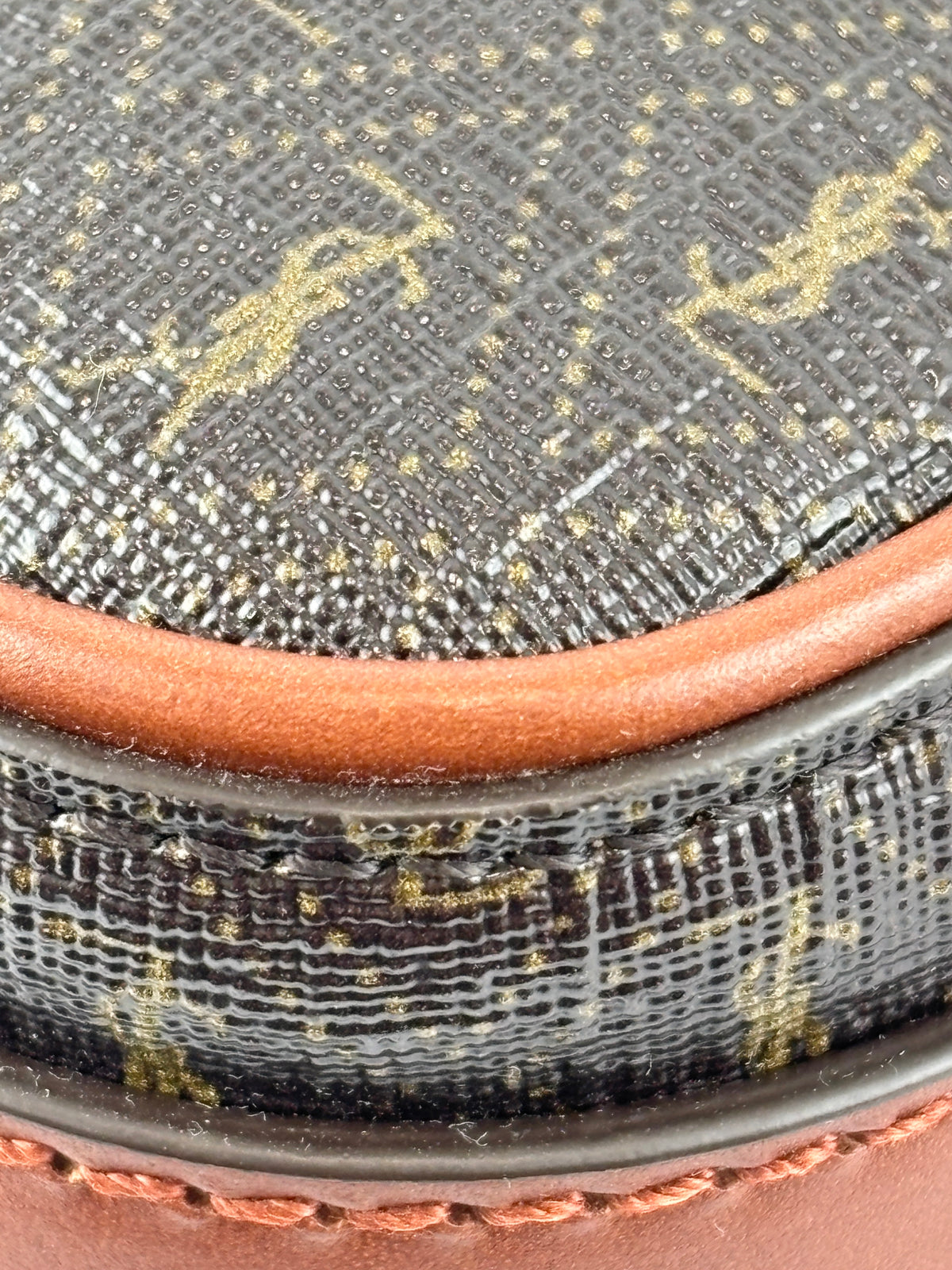Le Monogramme Camera Bag in Brown Monogram Canvas / Tan Leather Trim
