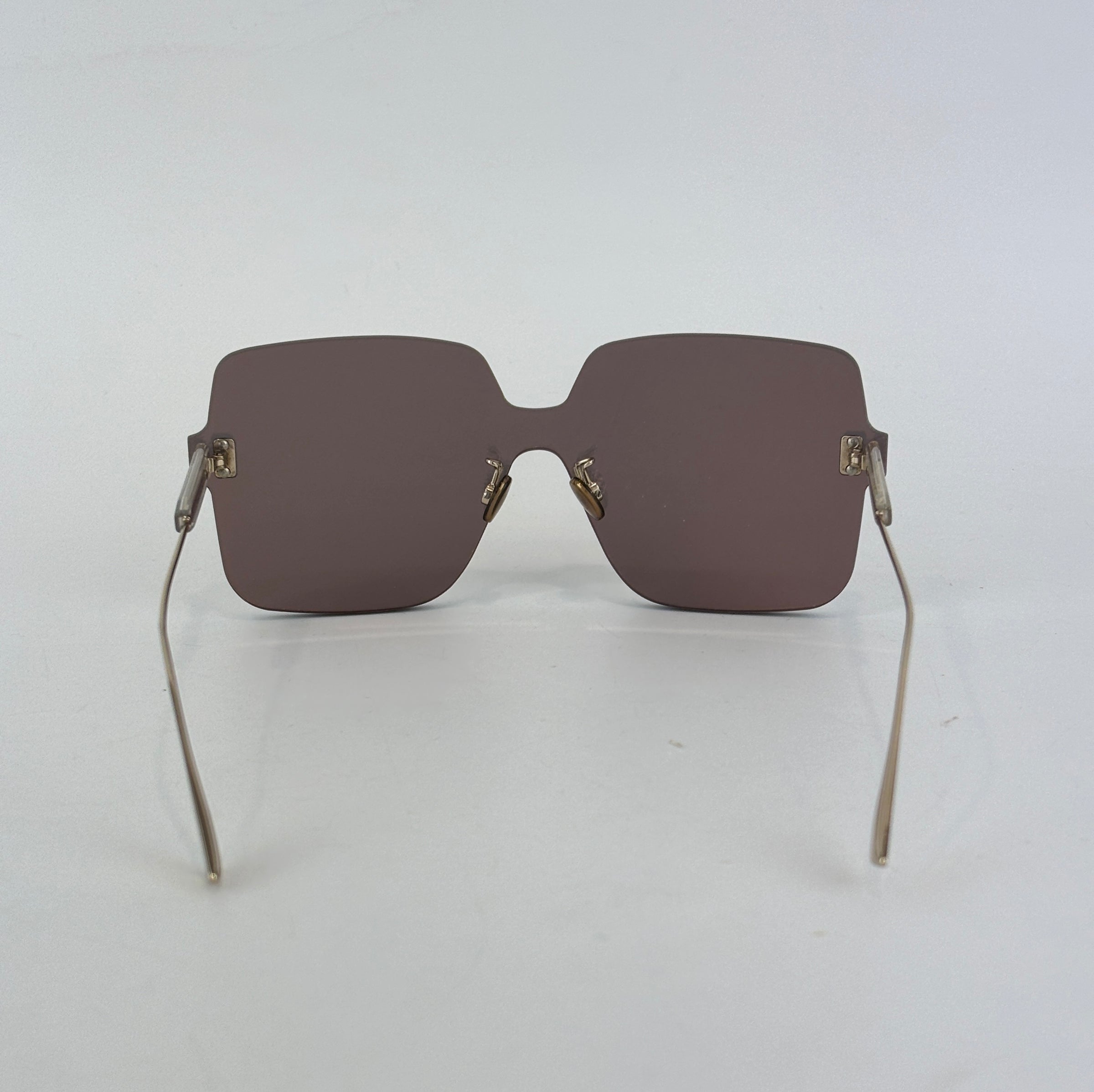 DiorColorQuake1 Silver Sunglasses