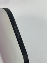 DiorColorQuake1 Silver Sunglasses