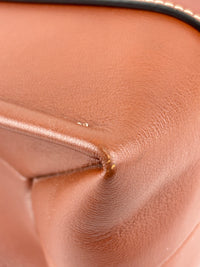 Calfskin Medium Woody Ribbon Tote in Sepia Brown