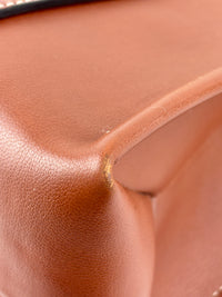 Calfskin Medium Woody Ribbon Tote in Sepia Brown