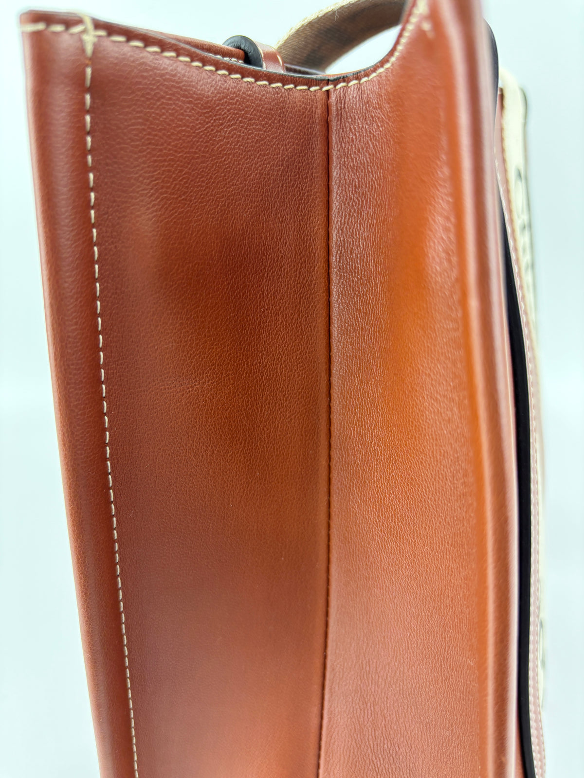 Calfskin Medium Woody Ribbon Tote in Sepia Brown