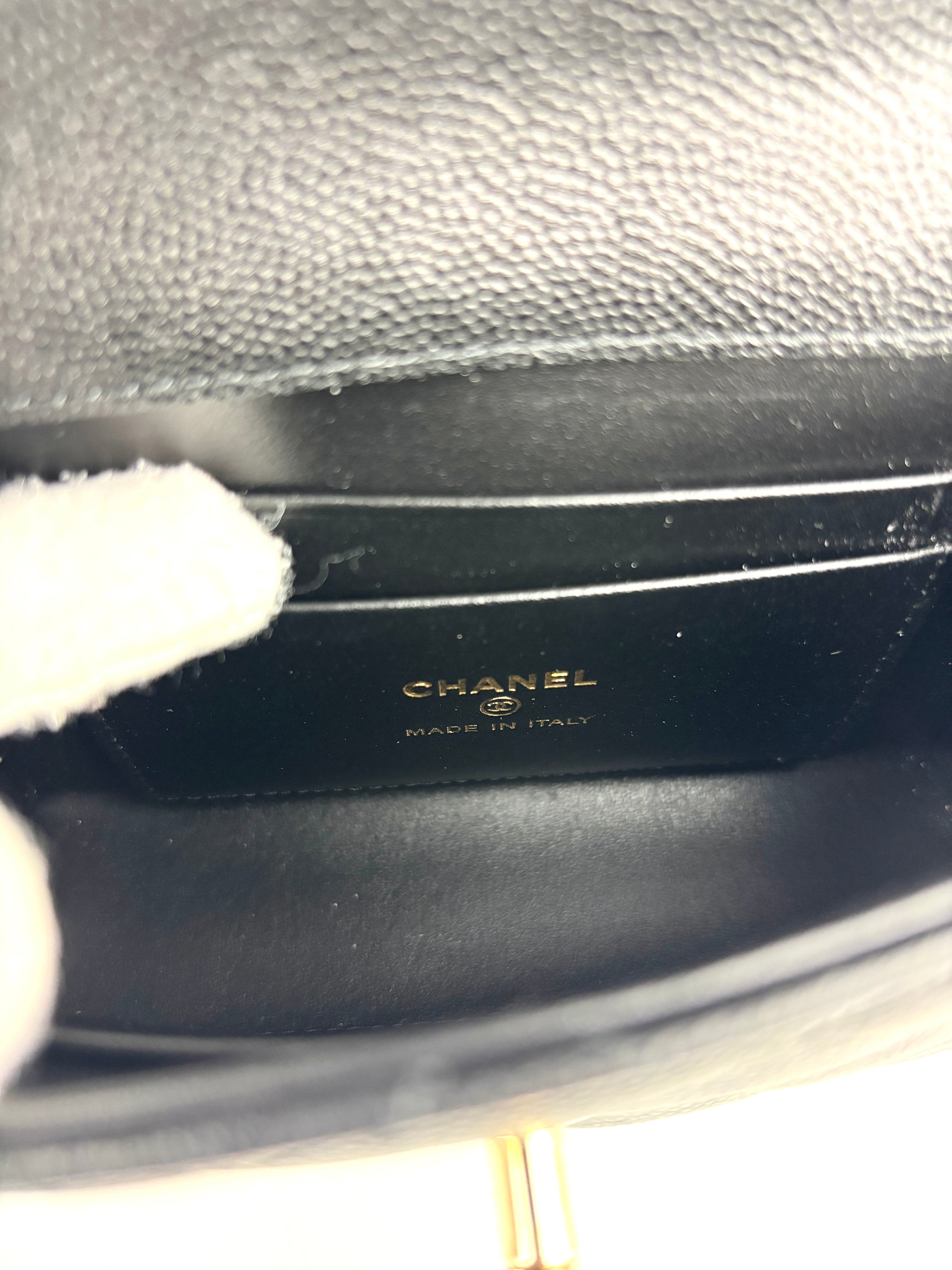 AP4244 Micro Coco Handle in Black Caviar LGHW - Glampot