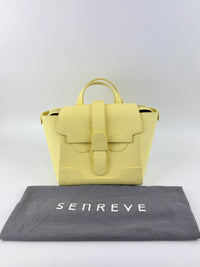 Mini Maestra in Mimosa Chiffon