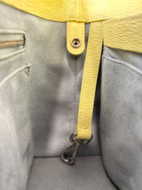 Mini Maestra in Mimosa Chiffon